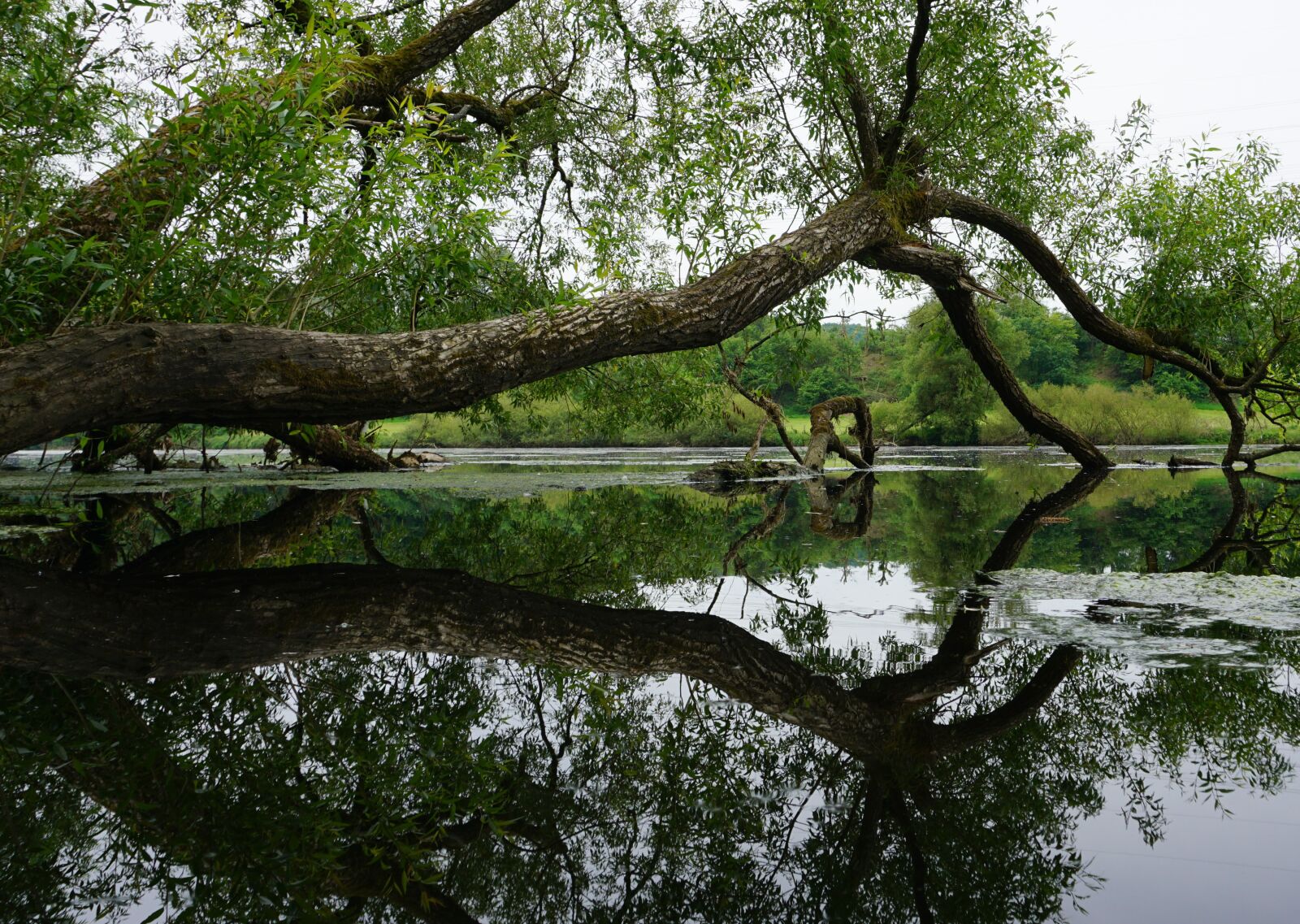 Sony a6000 sample photo. Victory, river, mirroring photography
