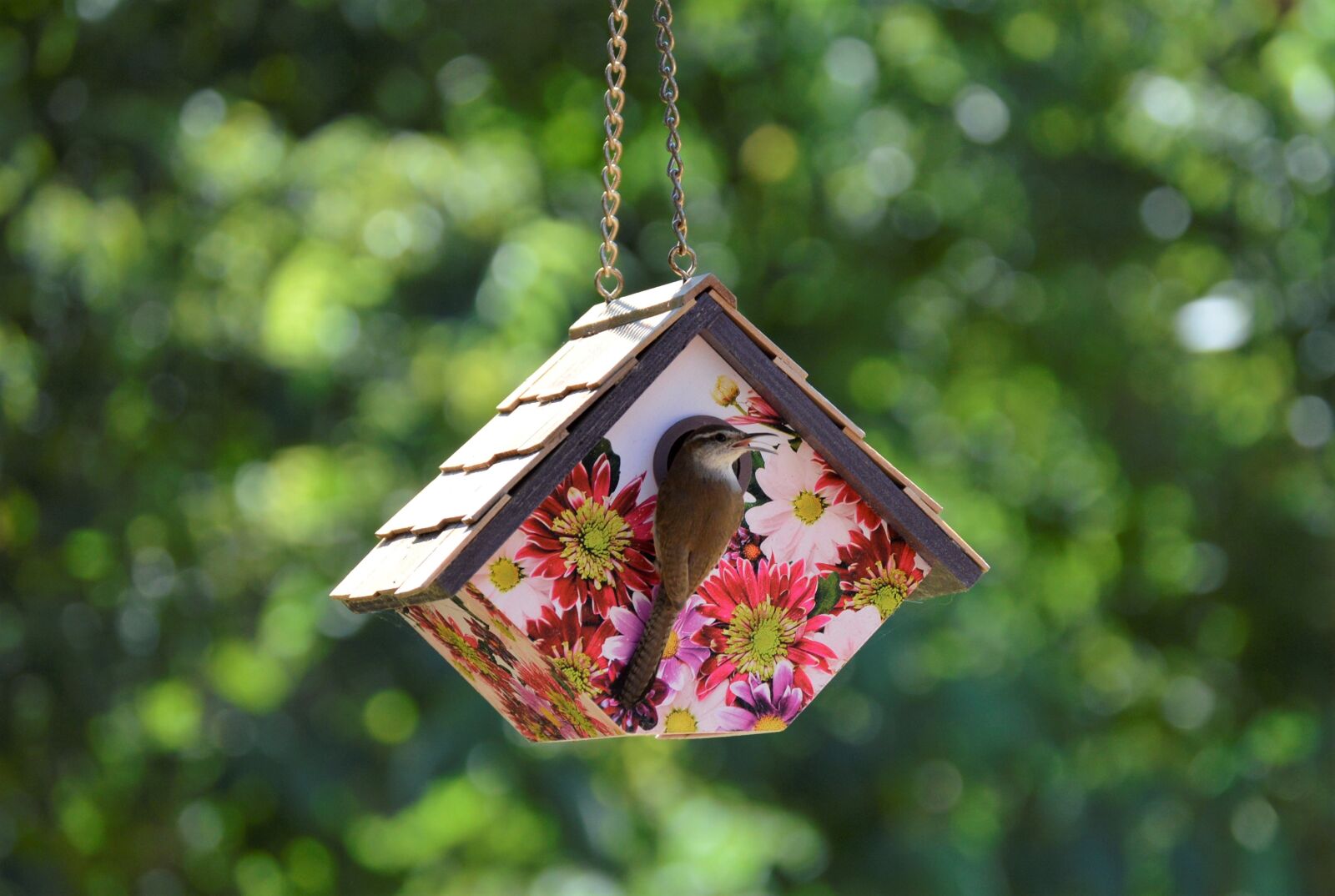 Nikon D3200 sample photo. Birdhouse, bird, garden photography