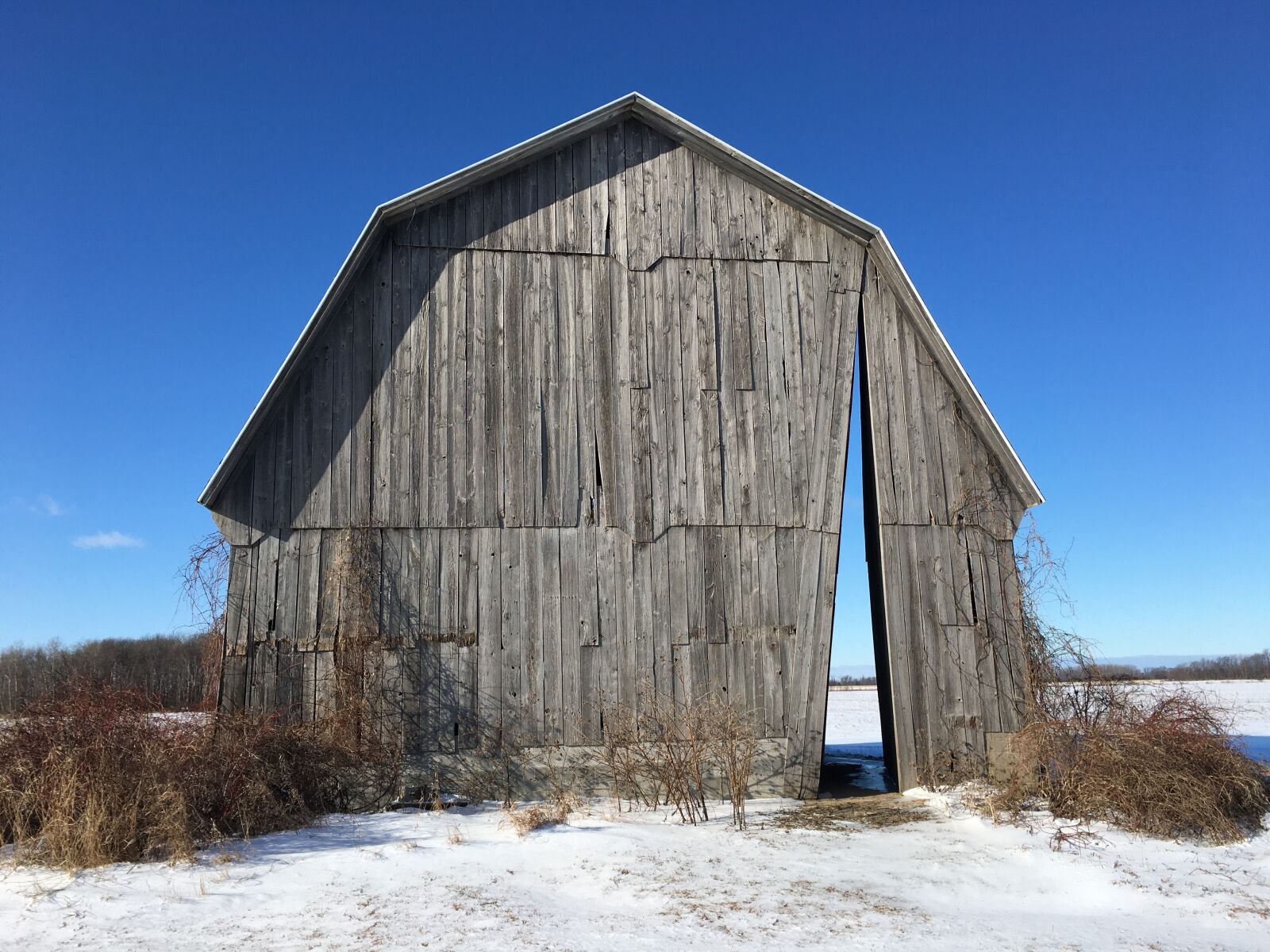Apple iPhone 6s sample photo. Barn art, michigan, old photography