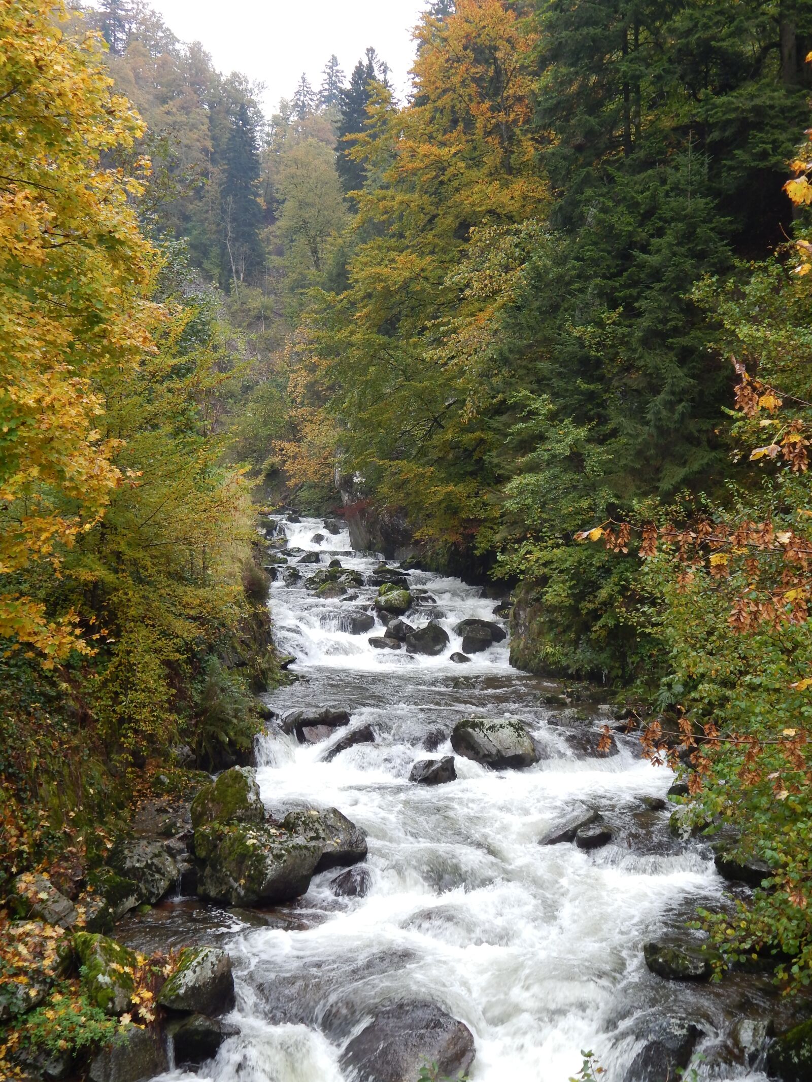 Nikon Coolpix L820 sample photo. Bach, water, landscape photography
