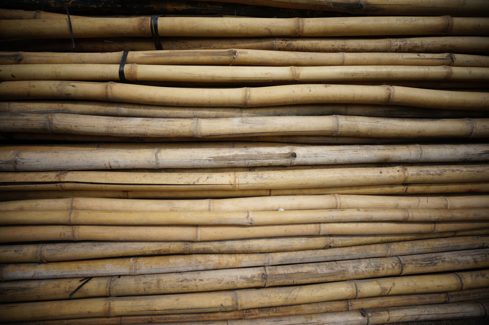 Sony E 16-50mm F3.5-5.6 PZ OSS sample photo. Background, bamboo, texture photography