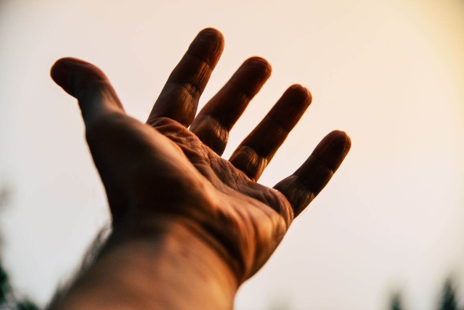 Nikon D610 sample photo. Hand, help, gesture photography