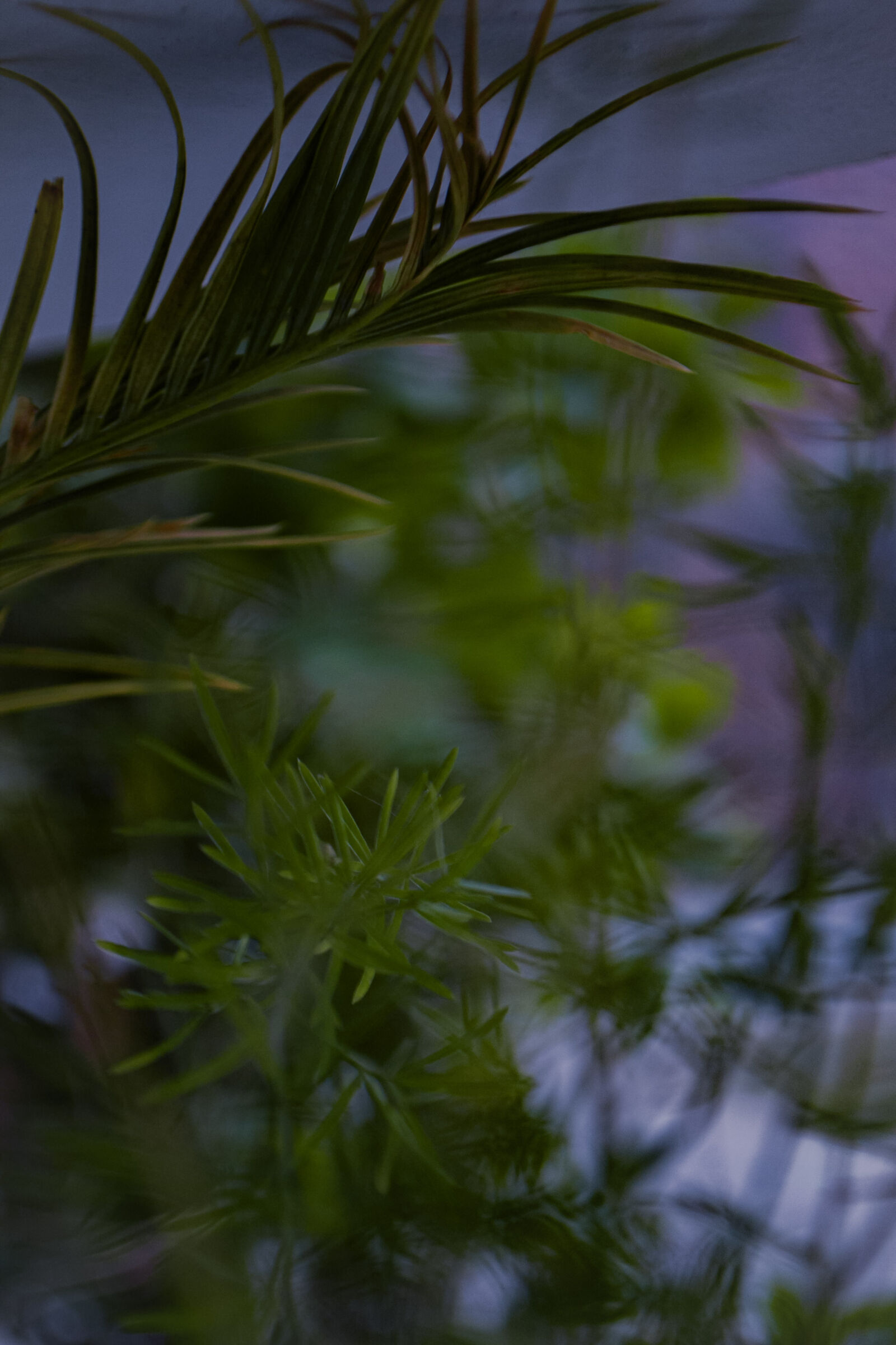 Nikon D3100 sample photo