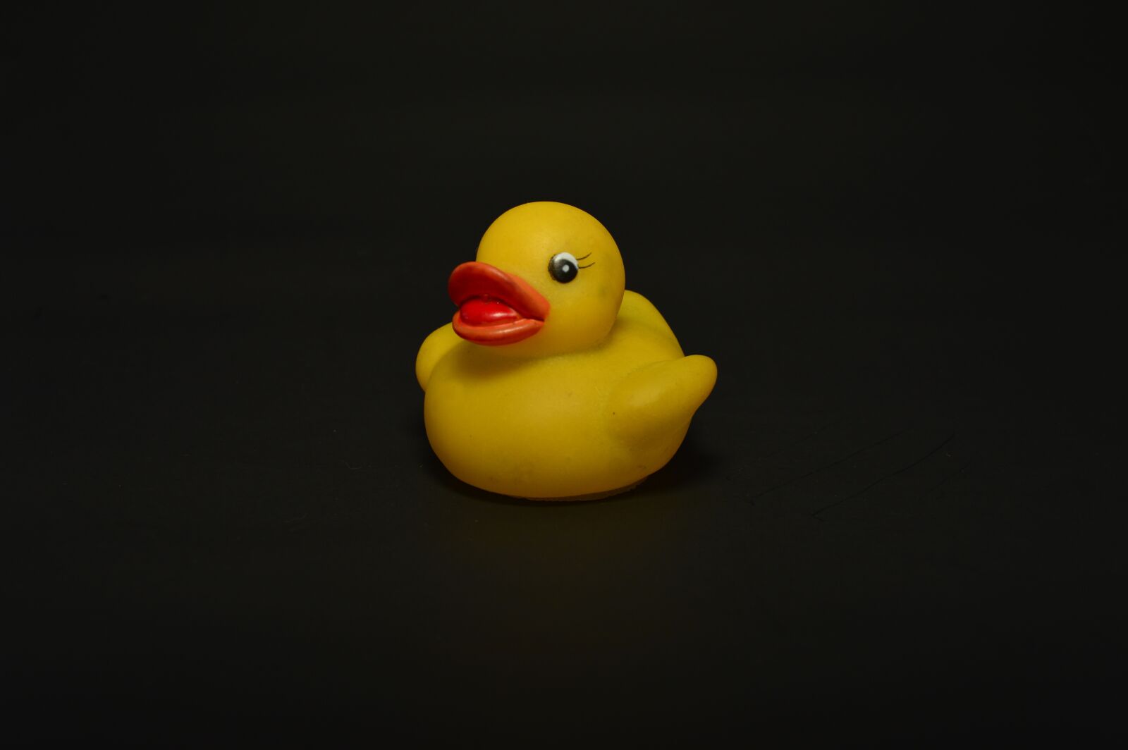 Nikon D3200 sample photo. Duck, toy, adorable photography