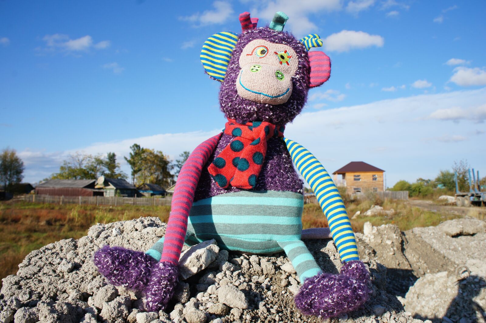 Sony Alpha NEX-C3 + Sony E 18-55mm F3.5-5.6 OSS sample photo. Toy, monkey, autumn photography