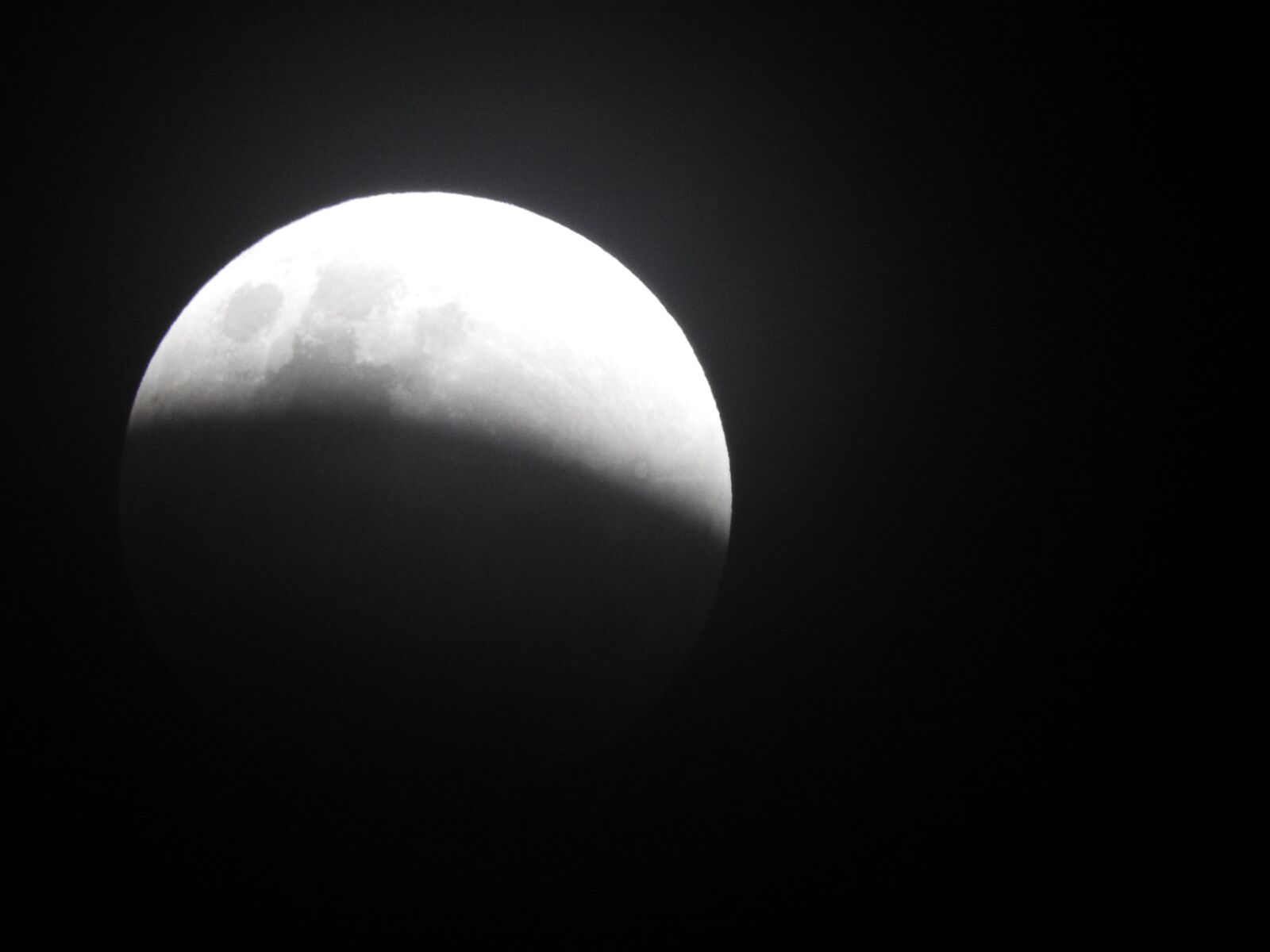 Nikon Coolpix P610 sample photo. Moon, space, half moon photography