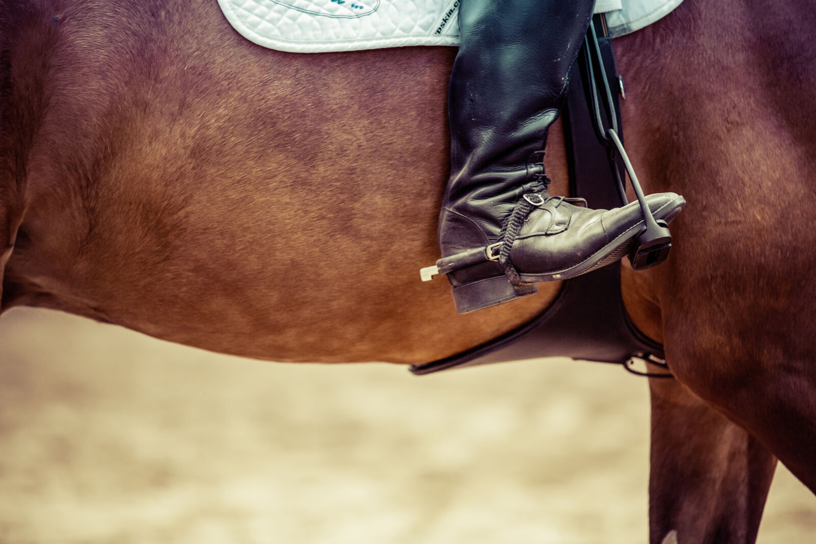 Canon EOS 5D Mark III sample photo. Horse, rider, riding, boot photography