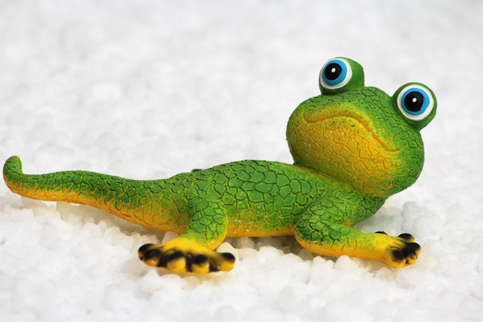 Canon EF 75-300mm f/4-5.6 sample photo. Gecko, yellow, green photography