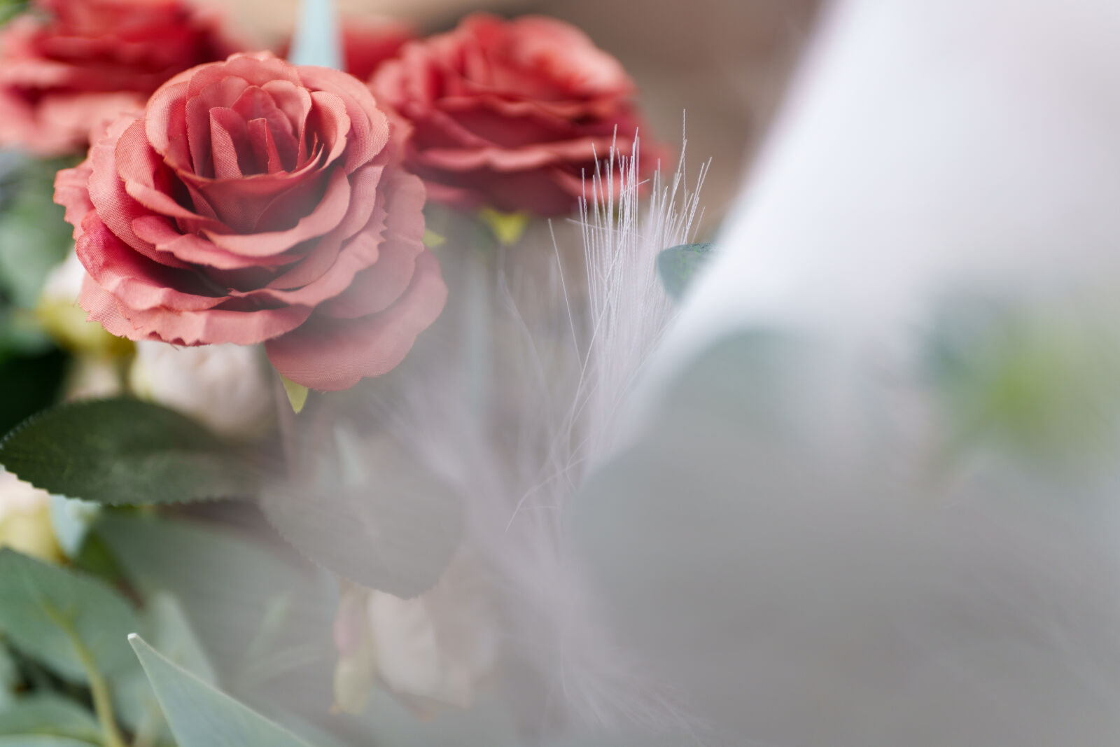 Sony a7R V sample photo. Flower bokeh photography