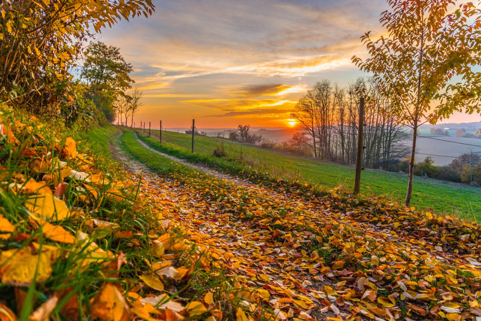 Sony E 16-50mm F3.5-5.6 PZ OSS sample photo. Autumn, away, sunset photography