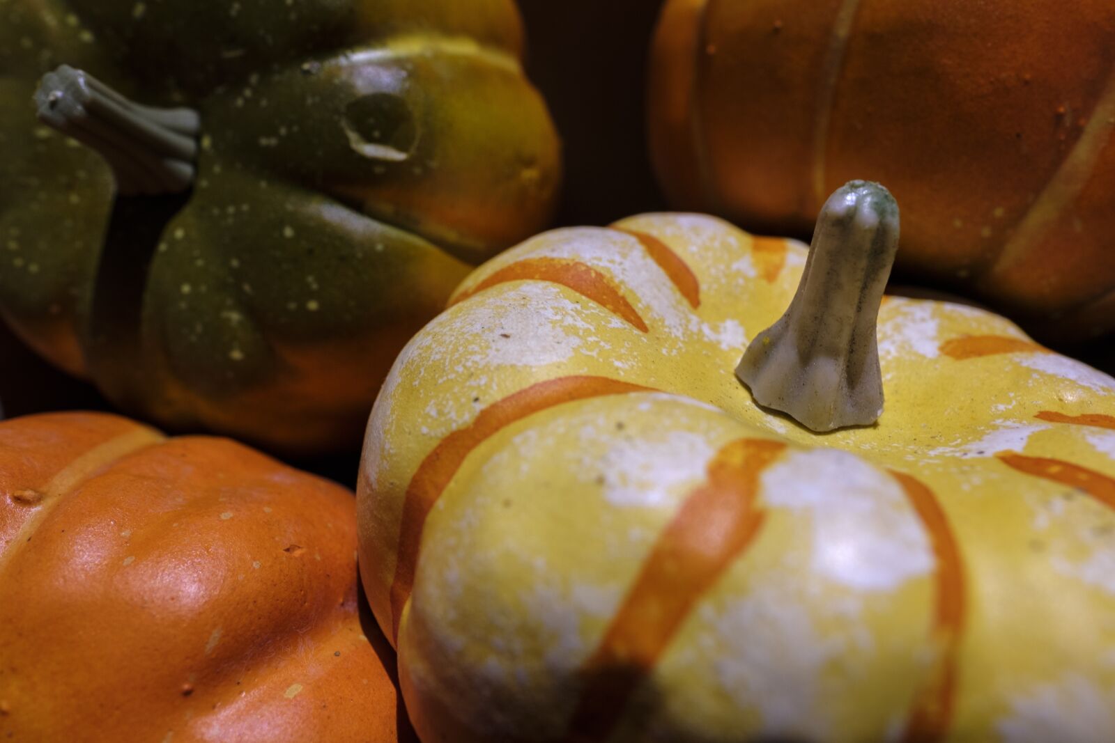 Fujifilm X-T2 + Fujifilm XF 16mm F1.4 R WR sample photo. Freestyle bite, autumn, vegetables photography