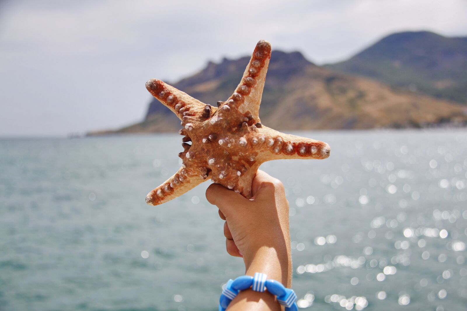 Canon EOS 500D (EOS Rebel T1i / EOS Kiss X3) sample photo. Starfish, hand, sea photography