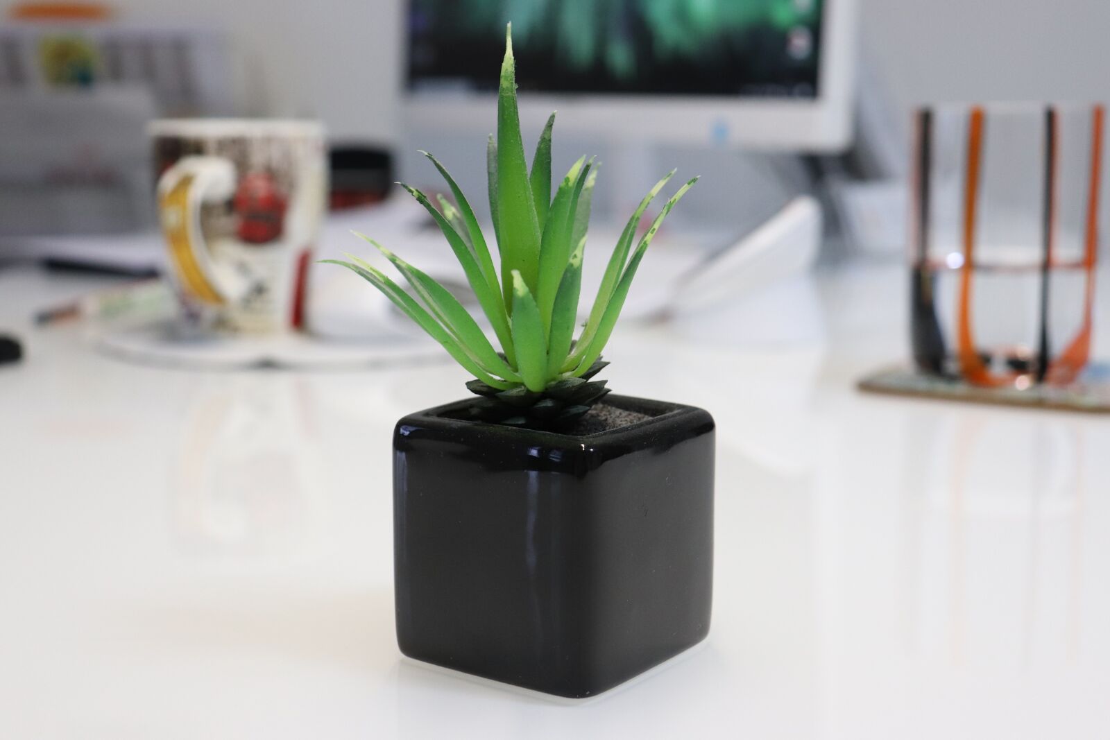 Canon EOS 800D (EOS Rebel T7i / EOS Kiss X9i) sample photo. Aloe, plant, succulent photography