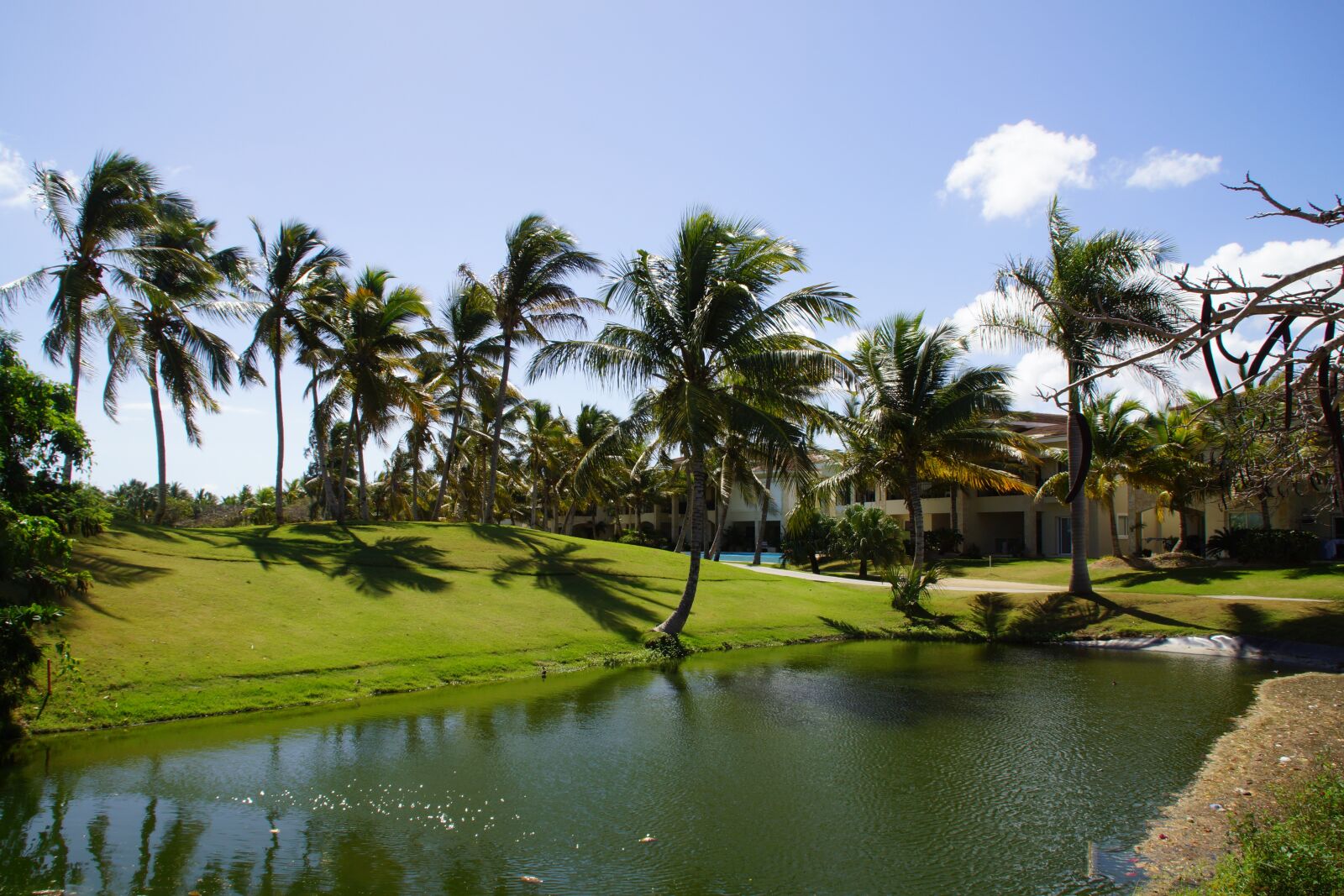 Sony DT 18-200mm F3.5-6.3 sample photo. Dominicanrepublic, republicadominicana, dominikana photography