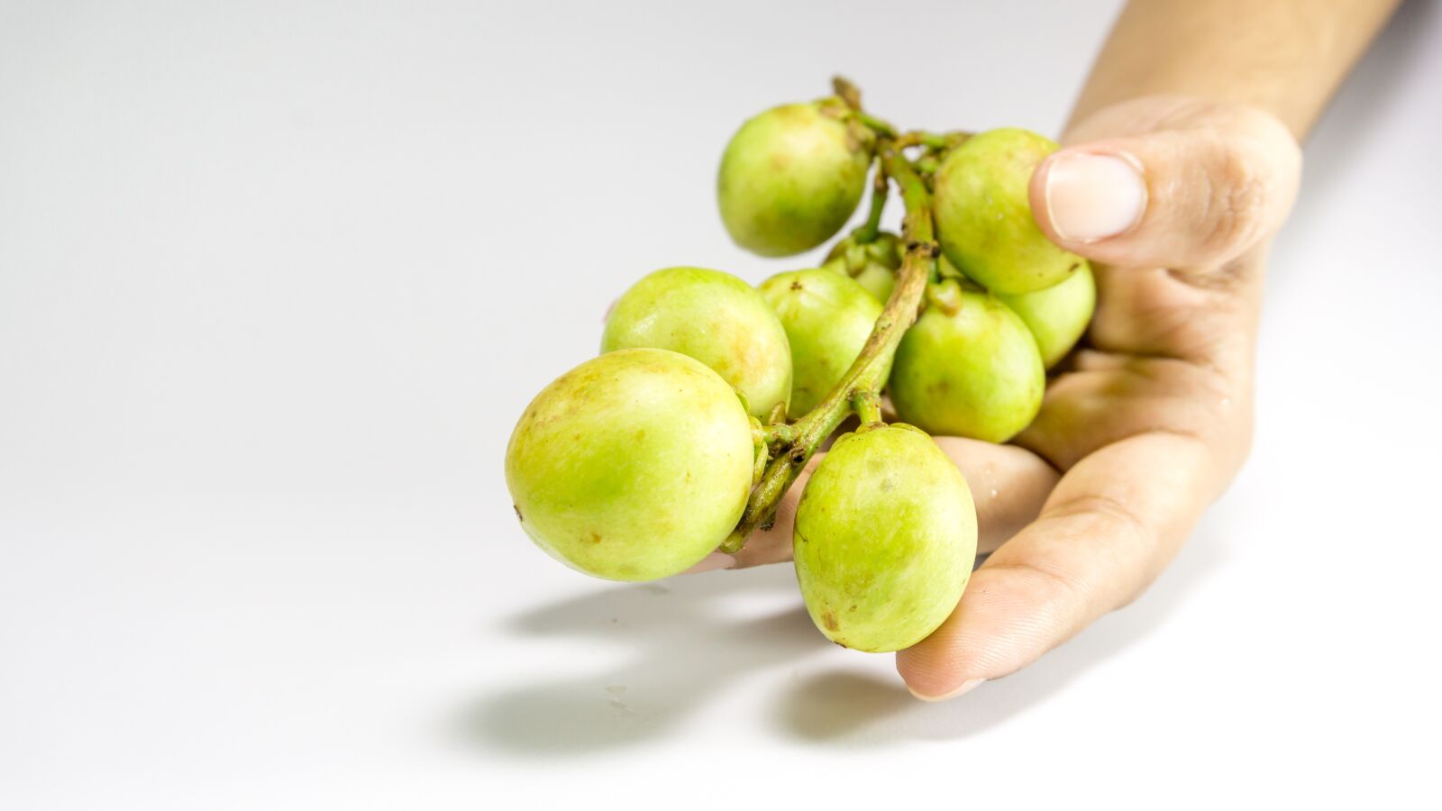 Sony a5100 sample photo. Asian fruit, langsat, longkong photography
