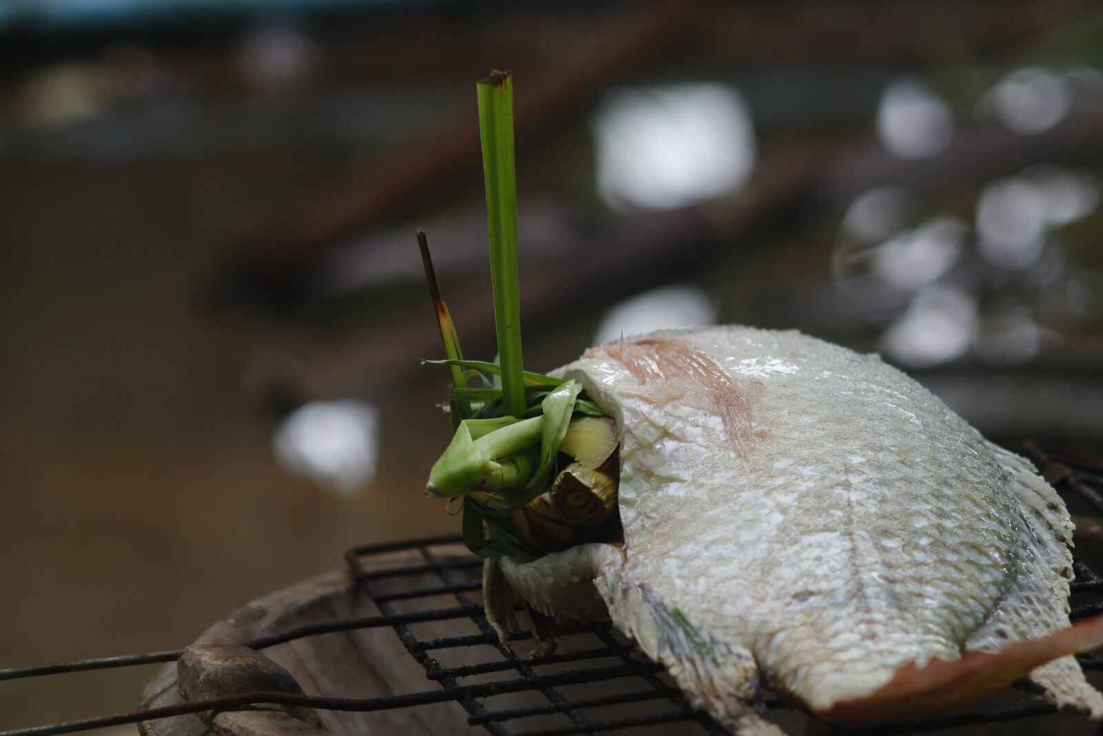 Canon EOS 1100D (EOS Rebel T3 / EOS Kiss X50) sample photo. Tilapia, grilled fish, food photography