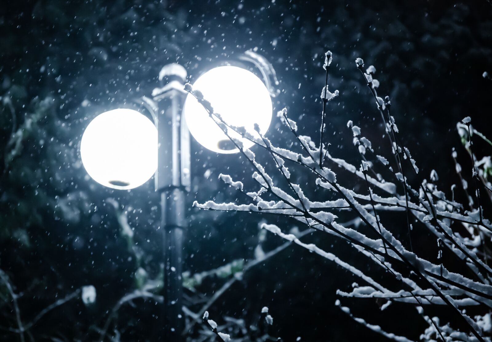 Canon EOS 6D Mark II + Canon EF 24-70mm F4L IS USM sample photo. Winter, snow, lamp photography