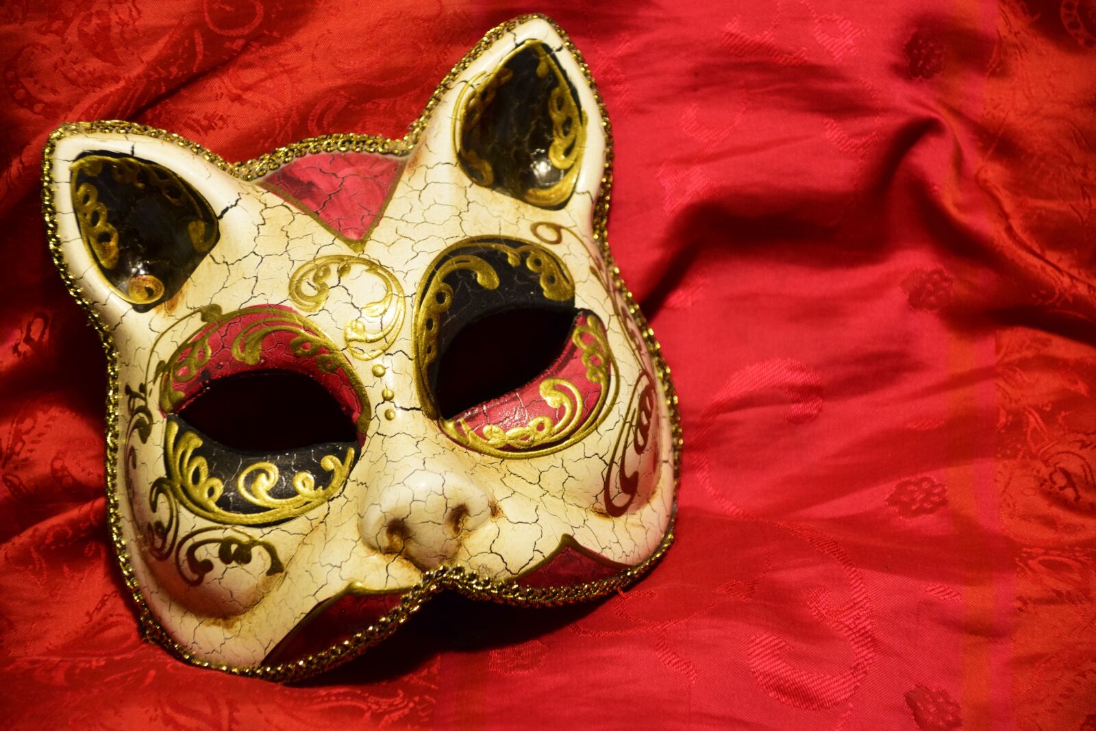 Nikon D3300 sample photo. Mask, cat, carnival photography