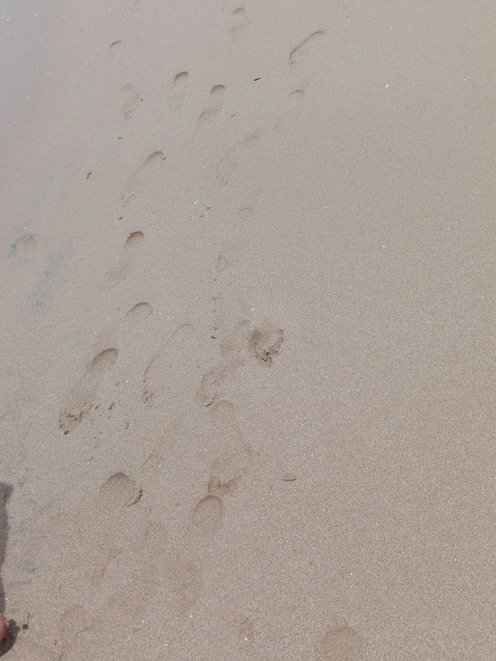 HUAWEI Y6II sample photo. Sea, sand, sl photography
