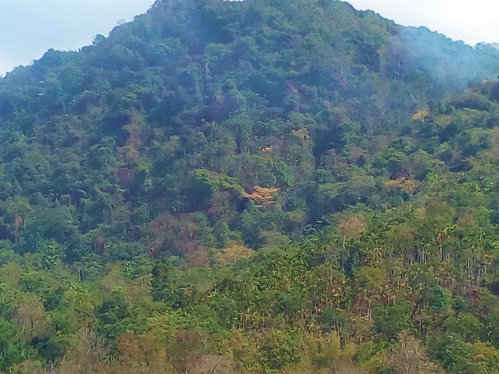 Symphony R100 sample photo. Bangladesh, sylhet, mountain photography