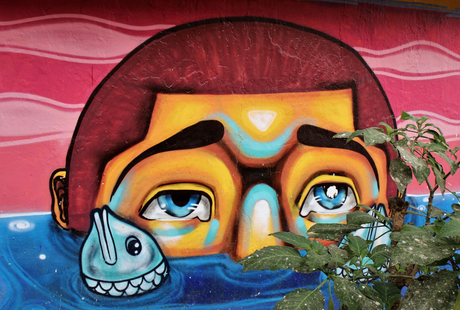 Canon EOS 1200D (EOS Rebel T5 / EOS Kiss X70 / EOS Hi) sample photo. Face, graffiti photography