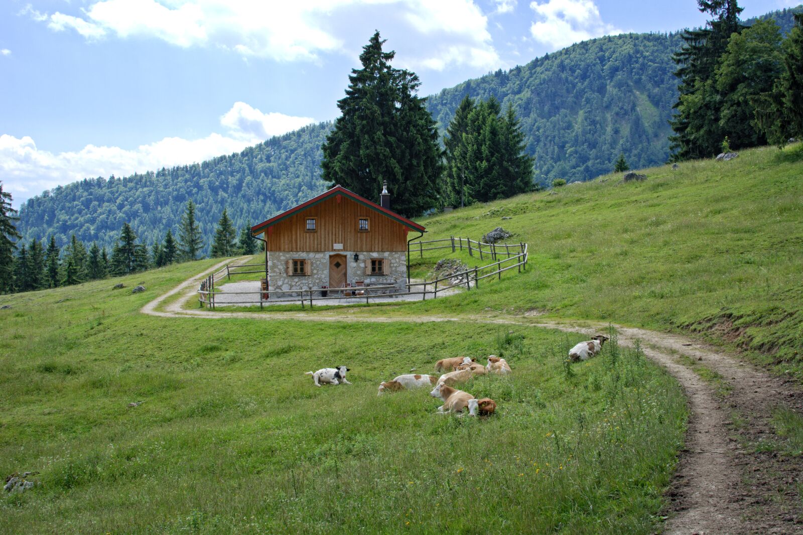 Nikon D7100 sample photo. Landscape, nature, bavaria photography