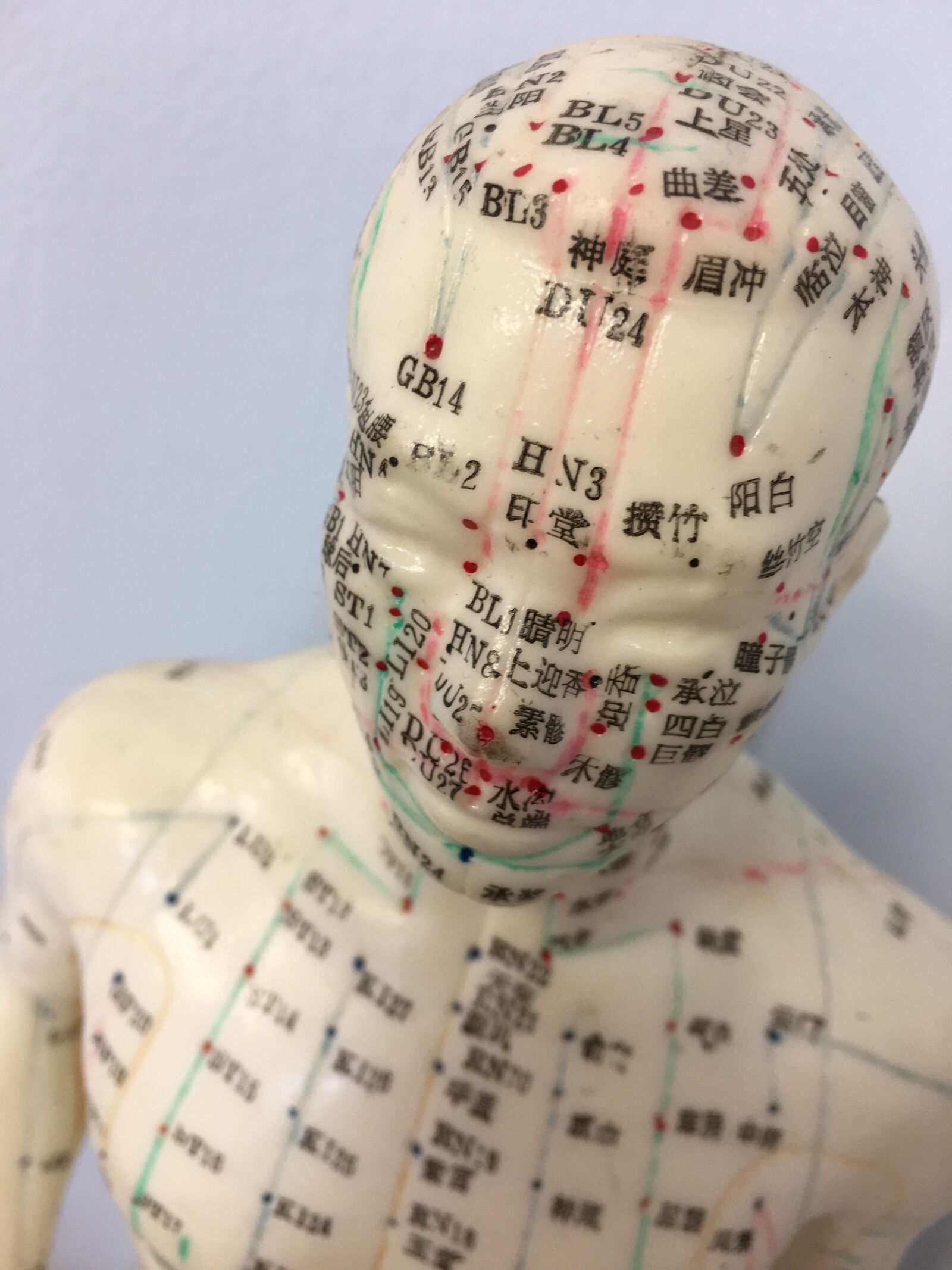 iPhone 6s Plus back camera 4.15mm f/2.2 sample photo. Acupuncture, acupuncture model, mannequin photography