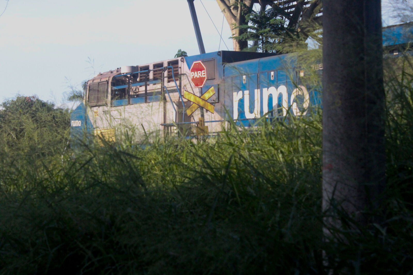 Canon EOS 1200D (EOS Rebel T5 / EOS Kiss X70 / EOS Hi) sample photo. Tank train rumo photography