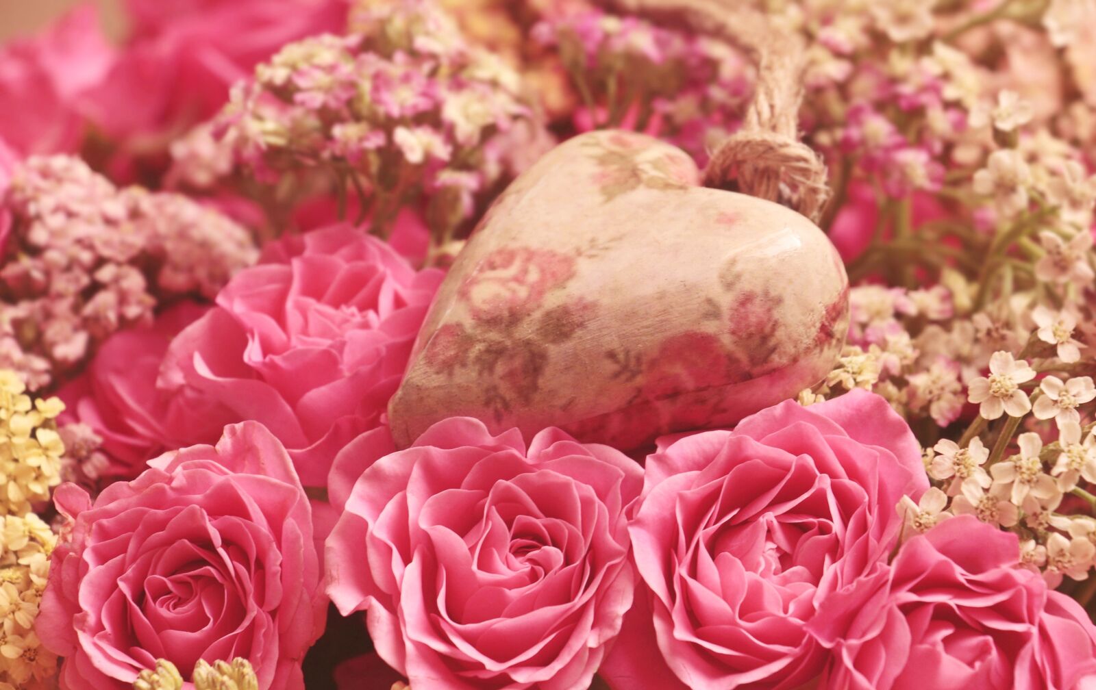 Canon EOS 100D (EOS Rebel SL1 / EOS Kiss X7) sample photo. Roses, heart, noble roses photography