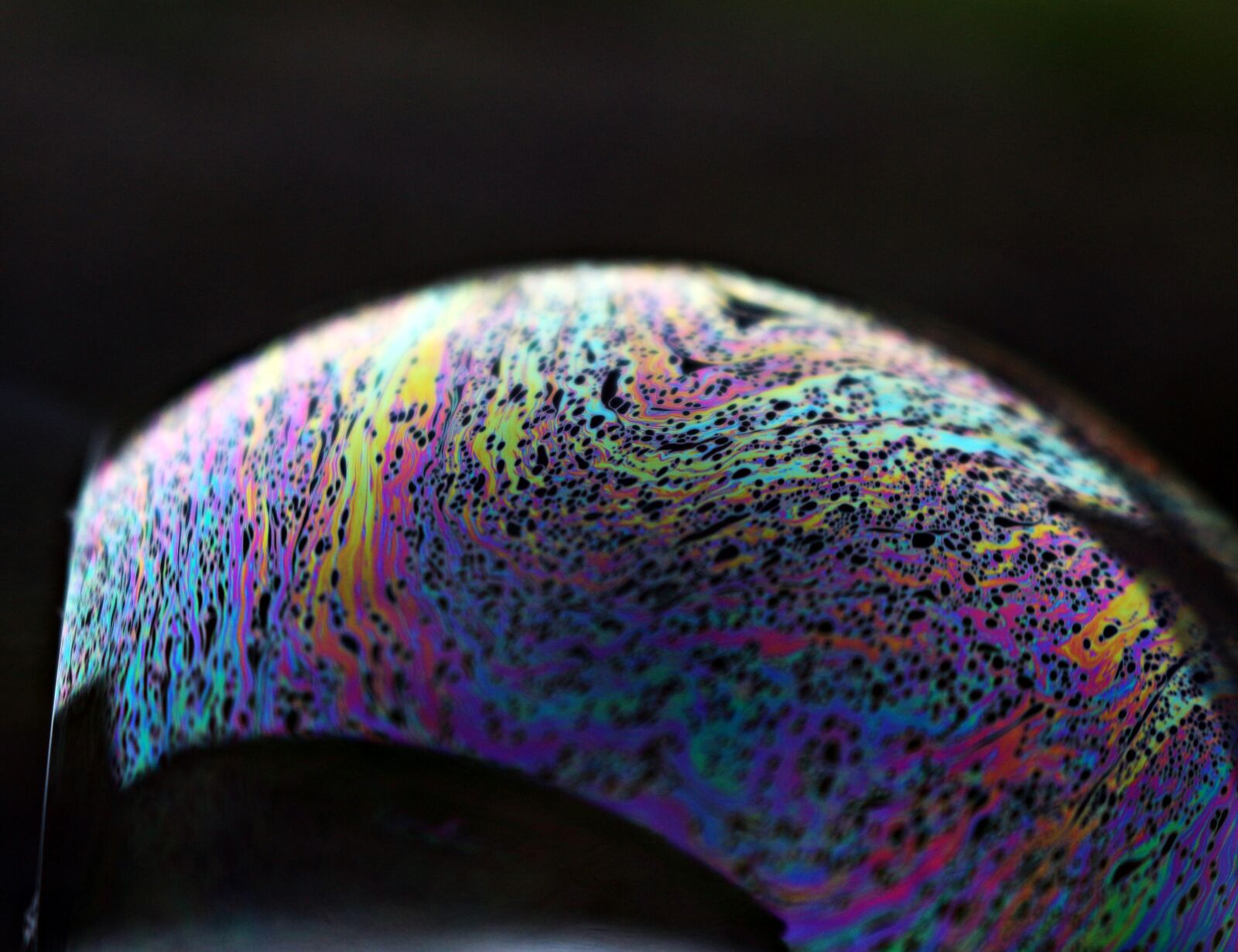 Canon EOS 100D (EOS Rebel SL1 / EOS Kiss X7) sample photo. Soap bubble, bubble, iridescent photography