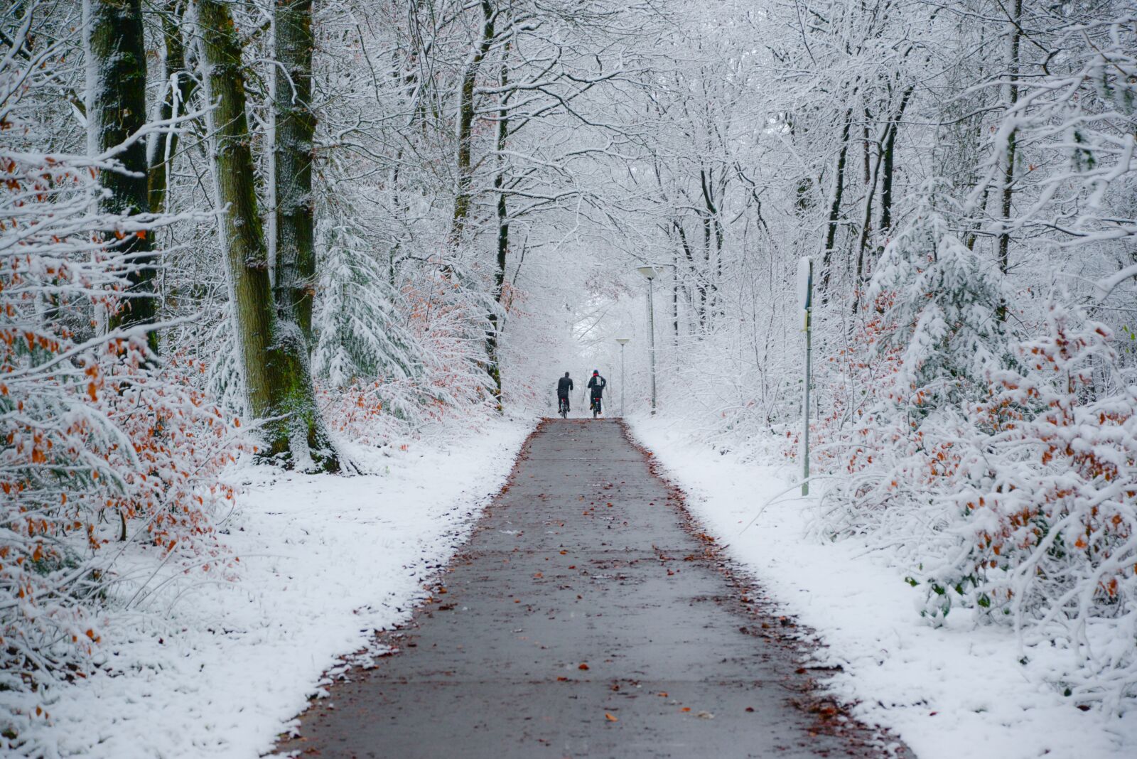 Nikon D610 sample photo. Winter, bike path, kids photography