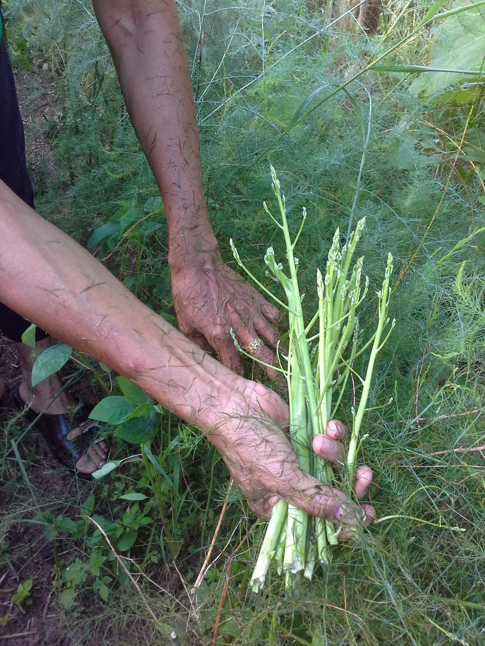 Samsung Galaxy Note 10.1 sample photo