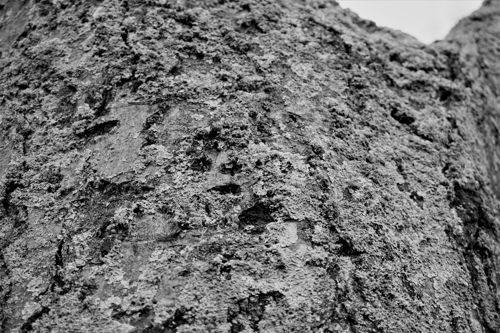 Sony a6000 sample photo. Stone, dirty, pattern photography