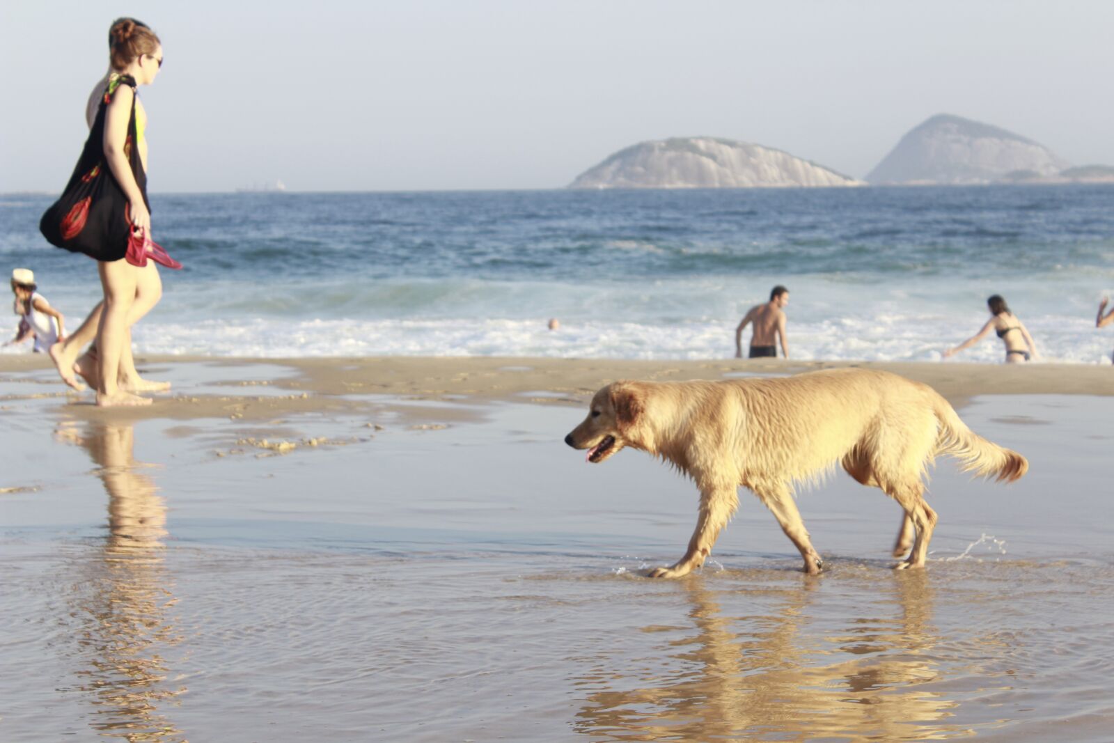 Canon EOS 600D (Rebel EOS T3i / EOS Kiss X5) sample photo. Summer, beach, sol photography