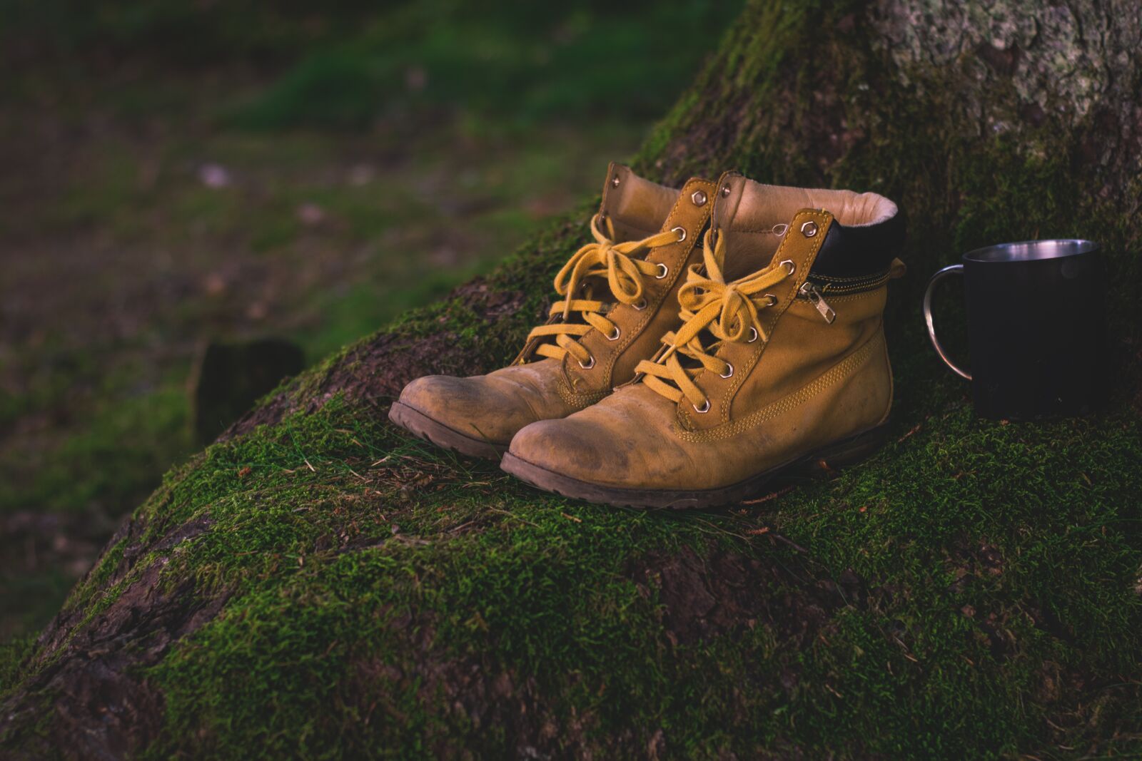 Nikon D5300 sample photo. Shoes, hiking shoes, hiking photography