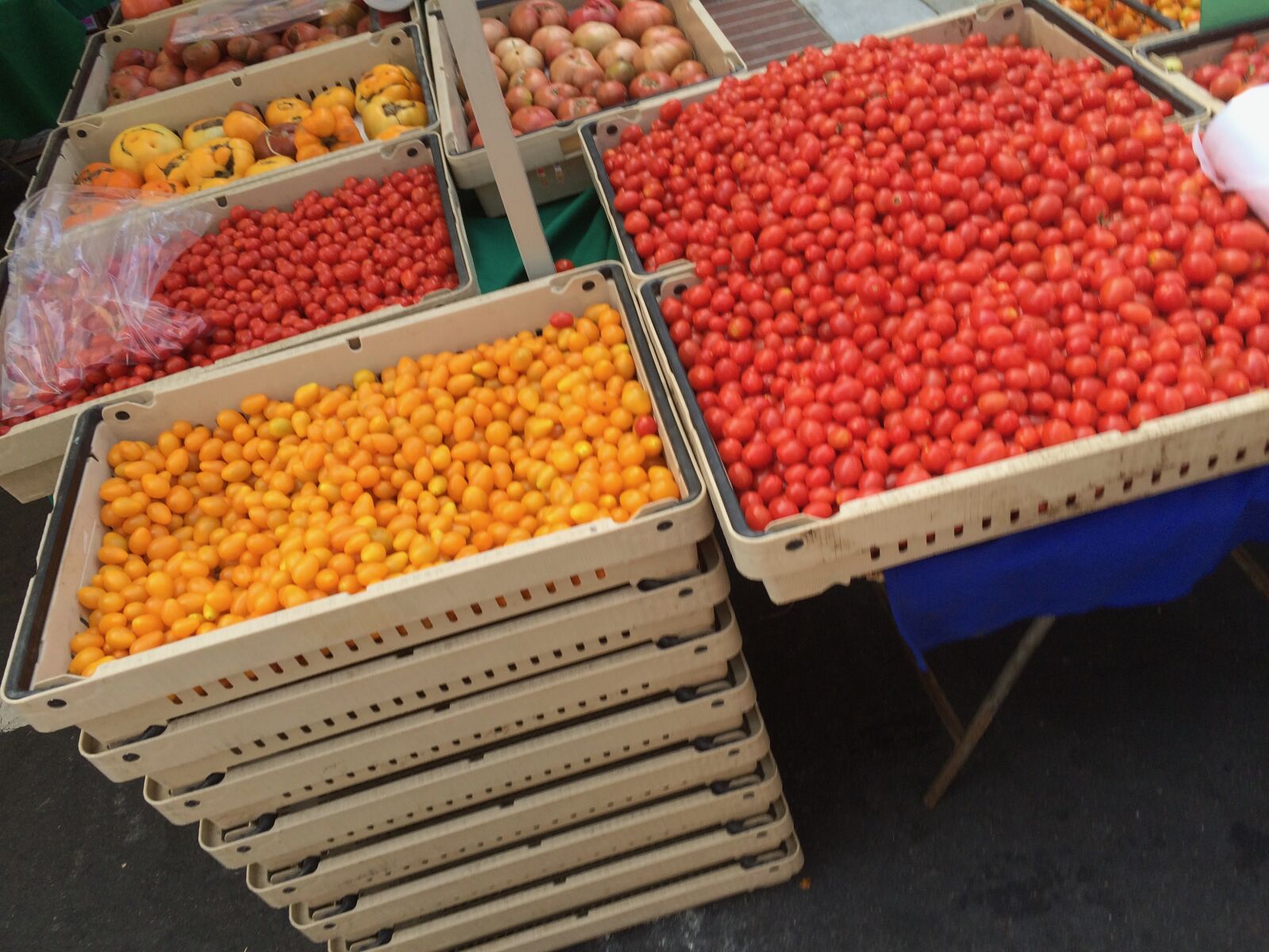 iPhone 5s back camera 4.15mm f/2.2 sample photo. Cherry, tomatoes, farmers, market photography