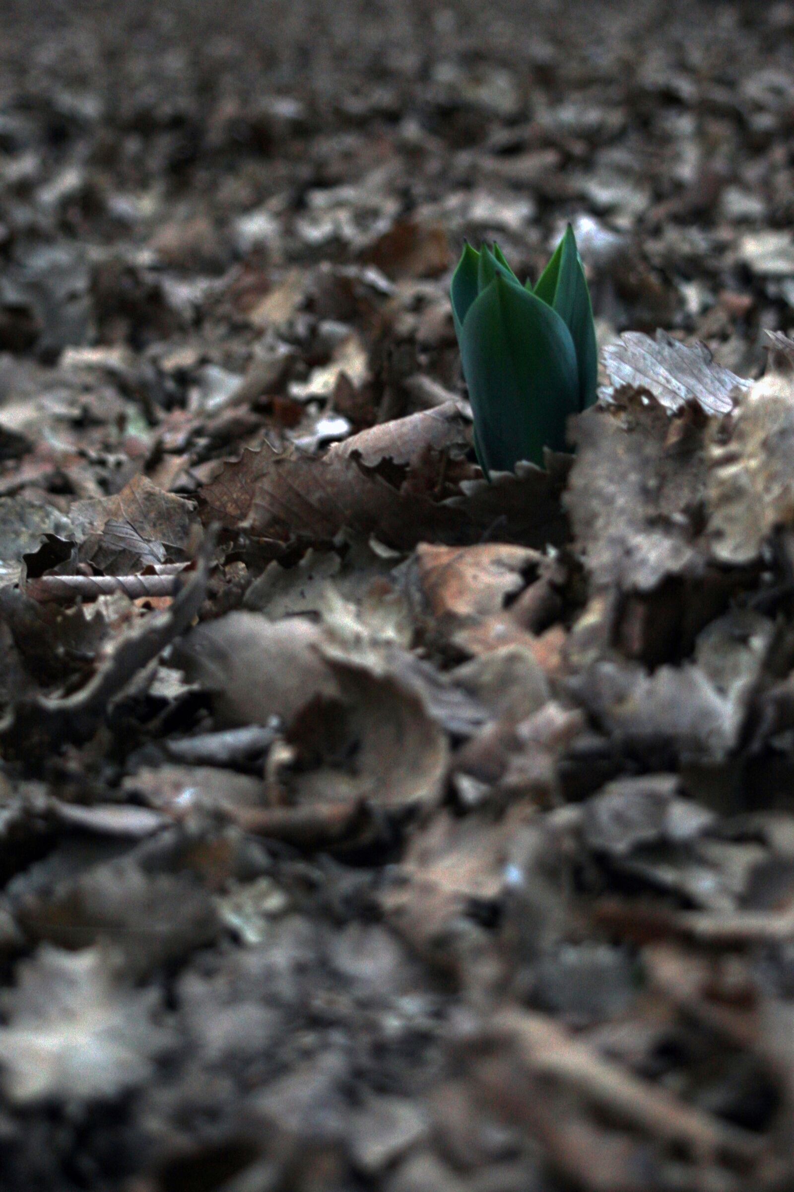 Canon EOS 30D sample photo. Nature, life, outdoor photography