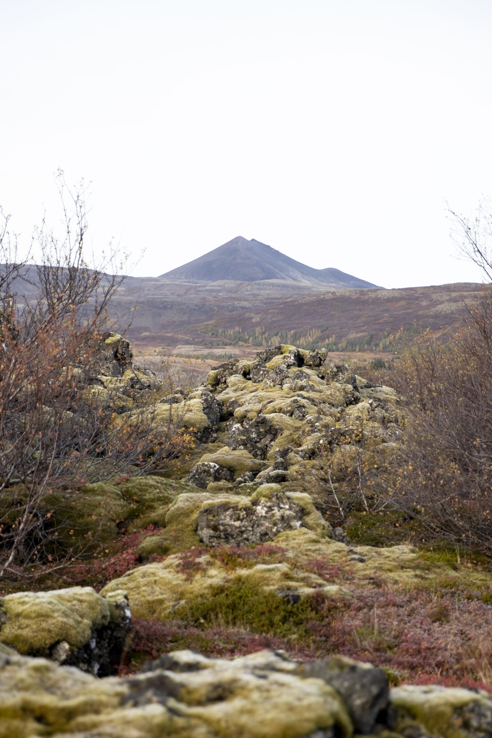 Canon EOS-1D X Mark II sample photo. Lava, iceland, nature photography