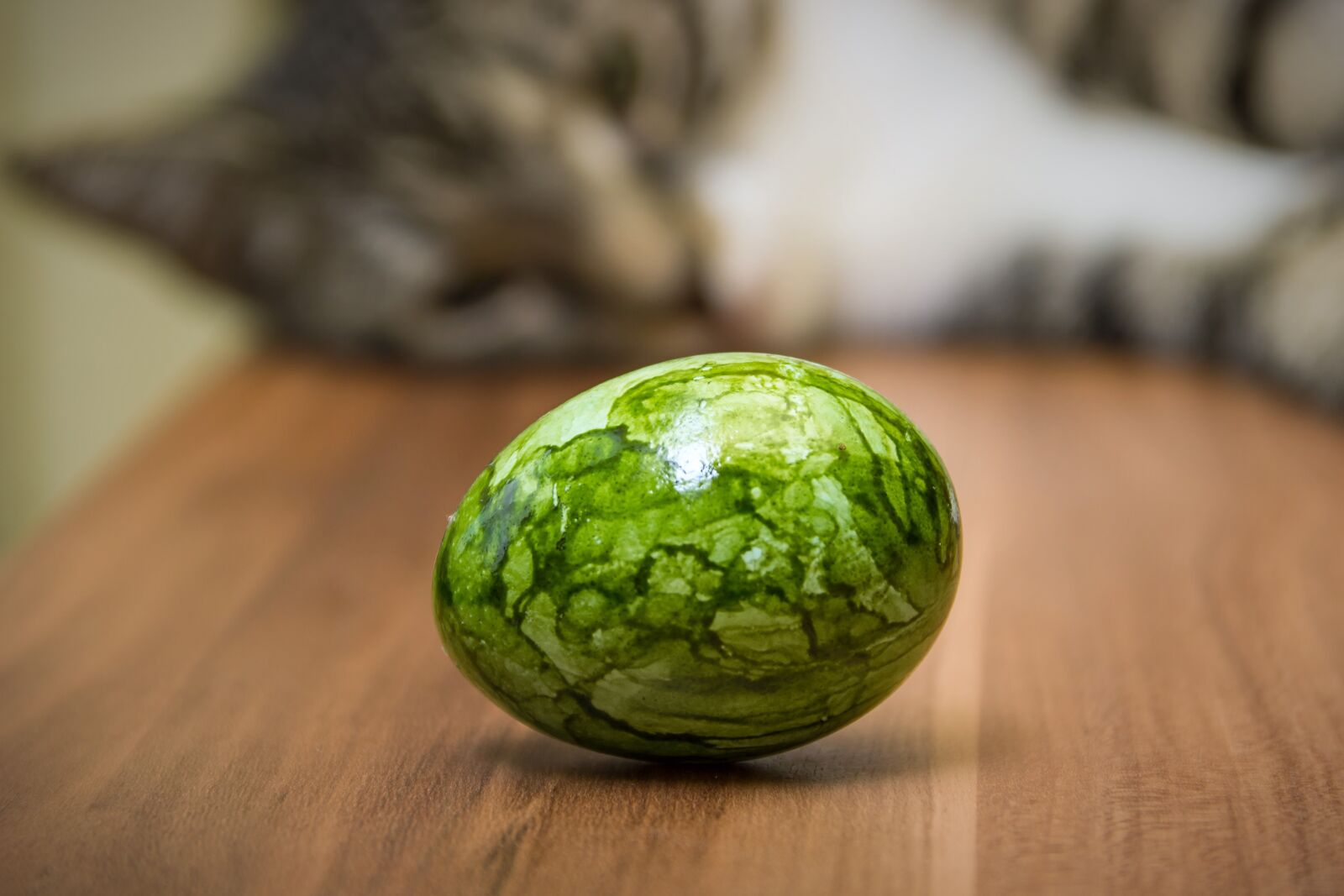 Canon EOS 600D (Rebel EOS T3i / EOS Kiss X5) sample photo. Egg, easter egg, green photography