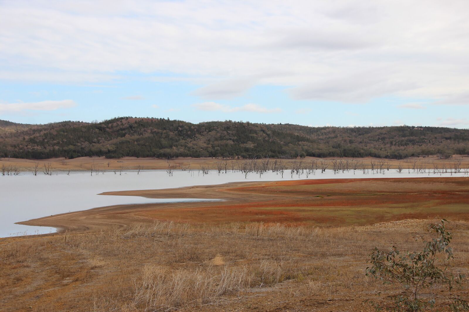 Canon EOS 600D (Rebel EOS T3i / EOS Kiss X5) sample photo. Lake keepit, lake, drought photography