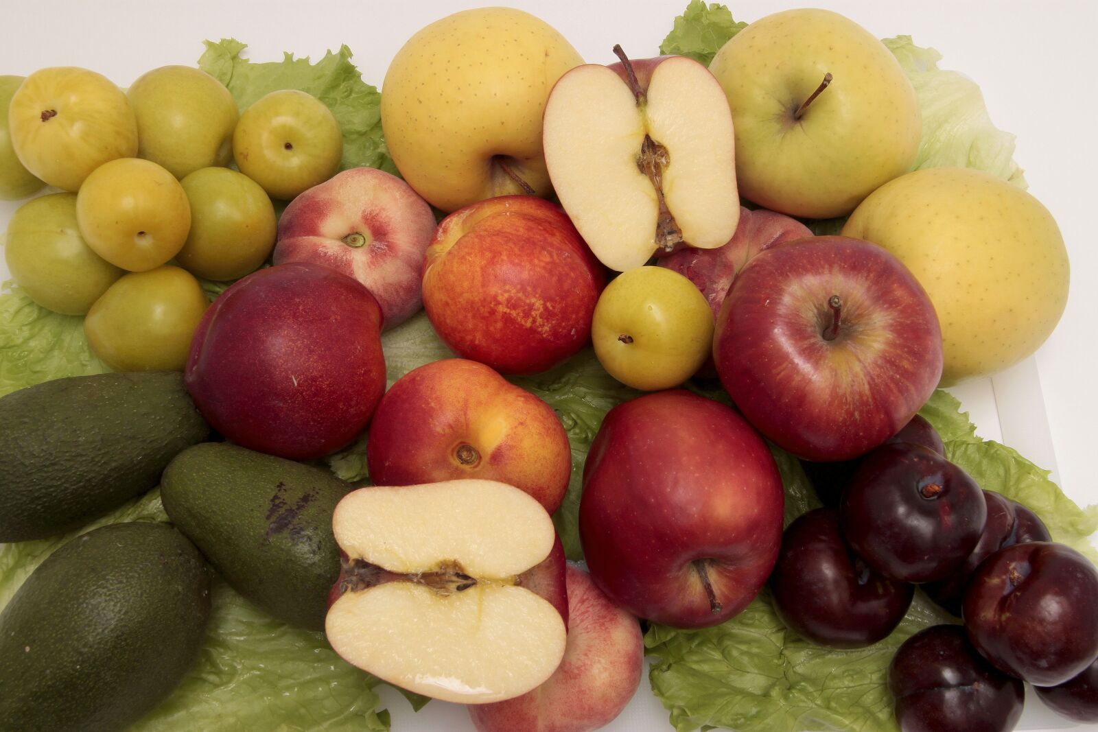 Canon EOS 500D (EOS Rebel T1i / EOS Kiss X3) sample photo. Fruit, food, healthy photography