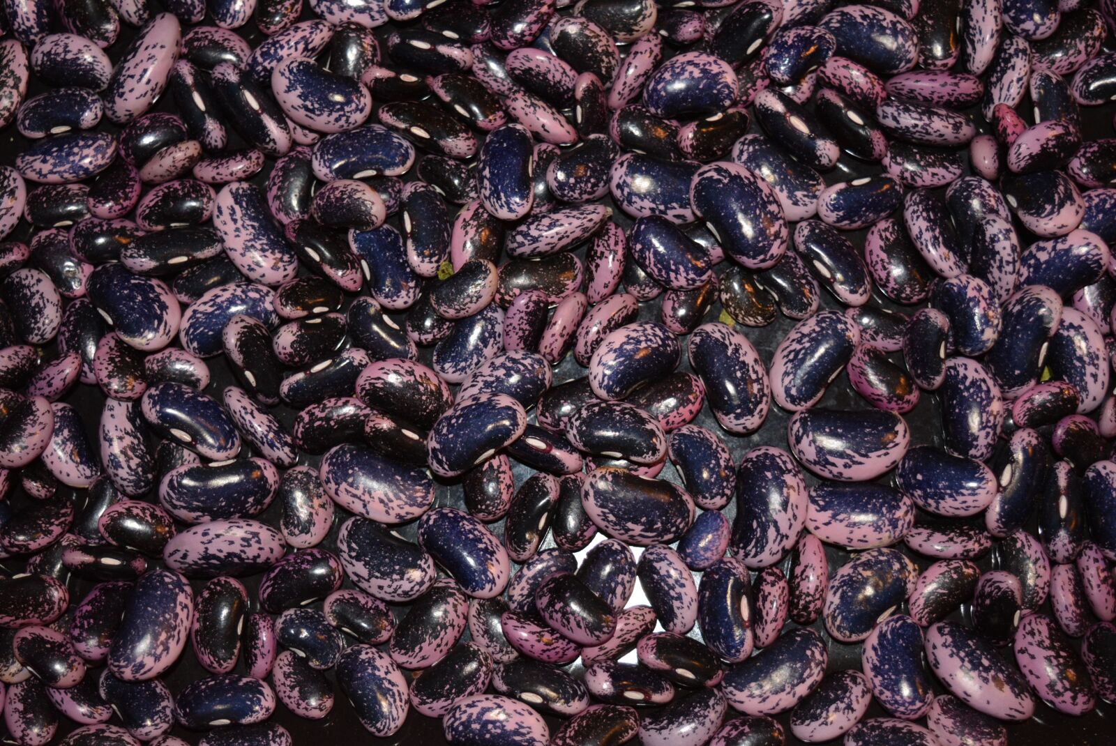 Nikon D5200 sample photo. Beans, vegetables, legumes photography