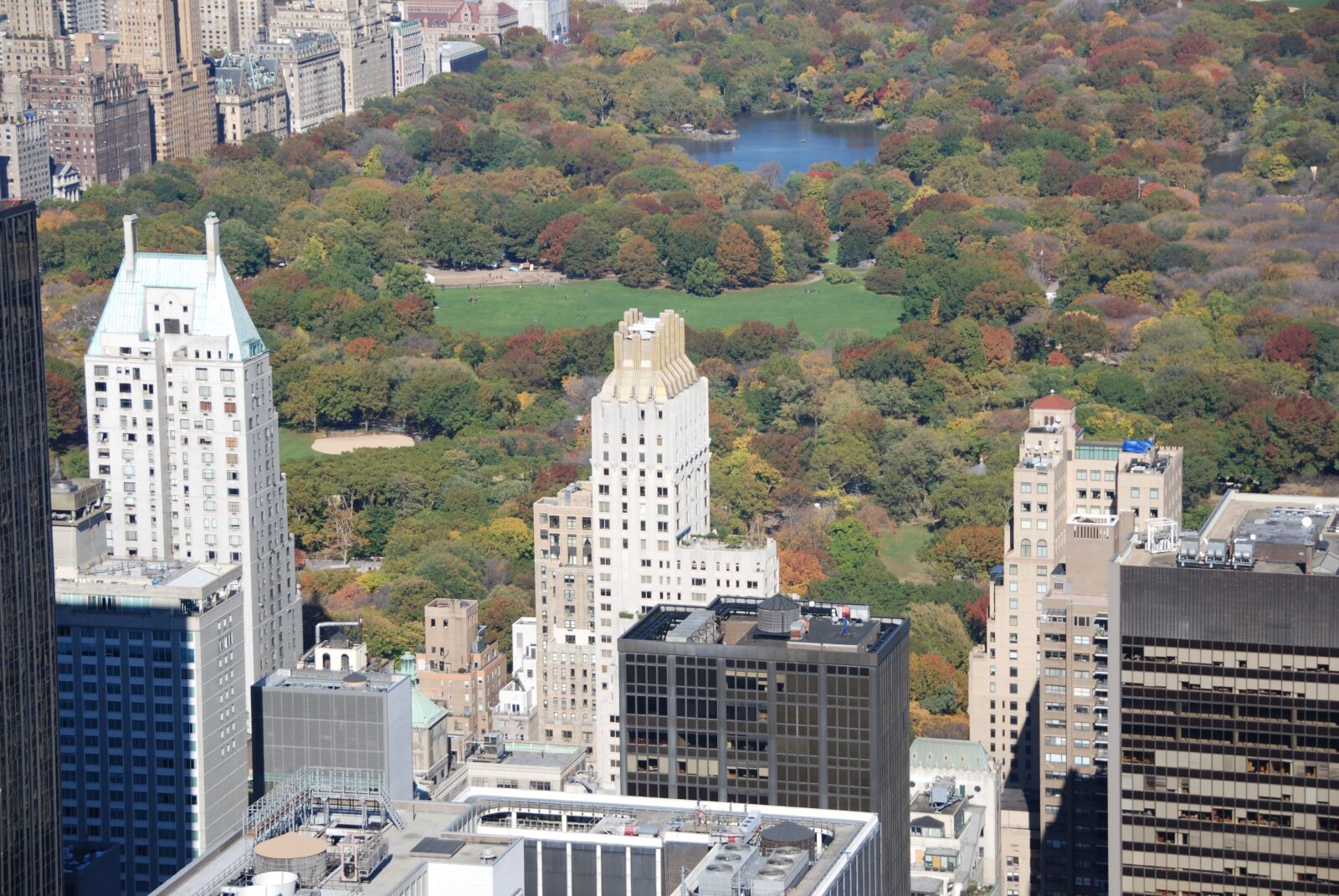 Nikon D80 sample photo. New york, central park photography