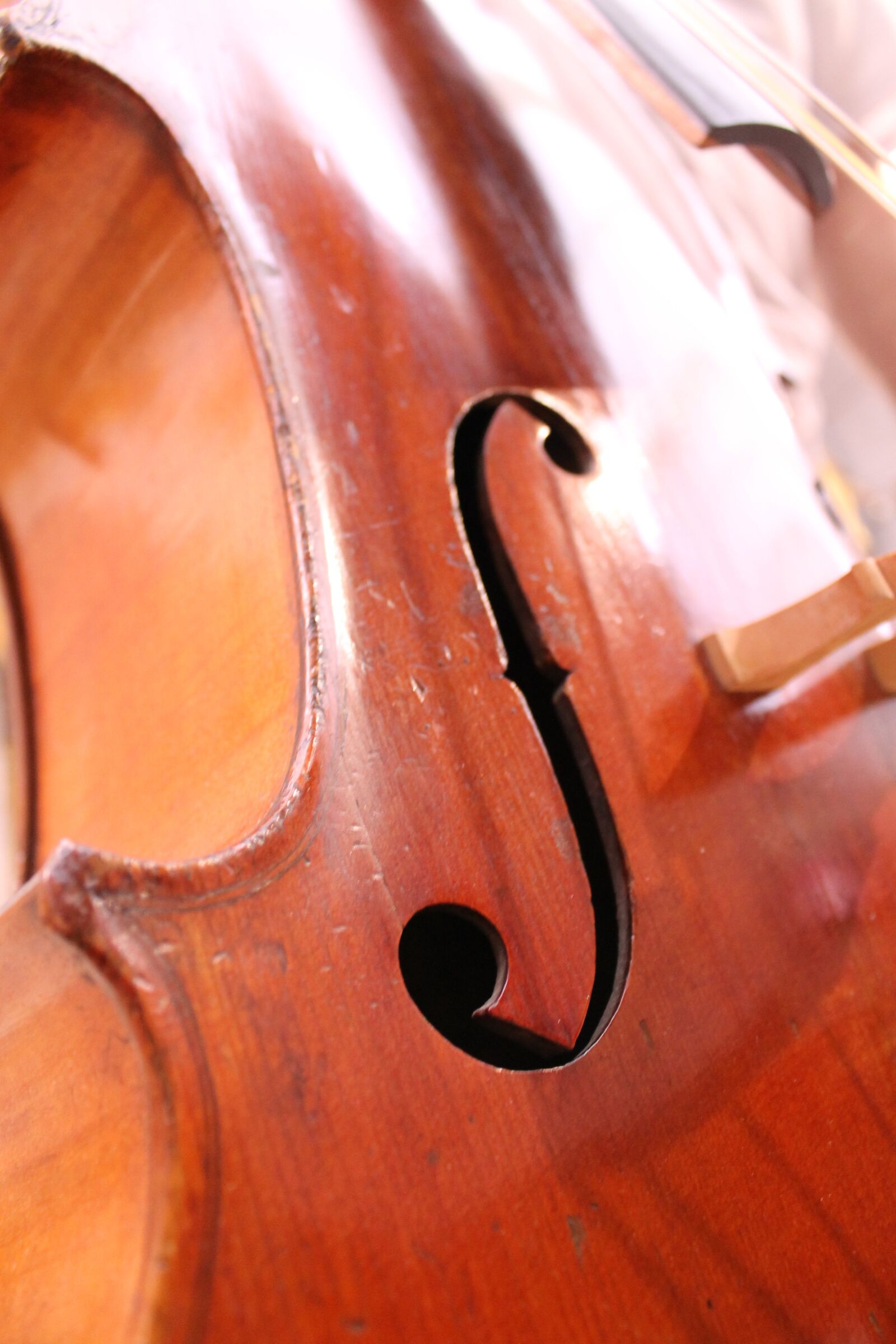 Canon EOS 1100D (EOS Rebel T3 / EOS Kiss X50) sample photo. Cello, wood, brown photography