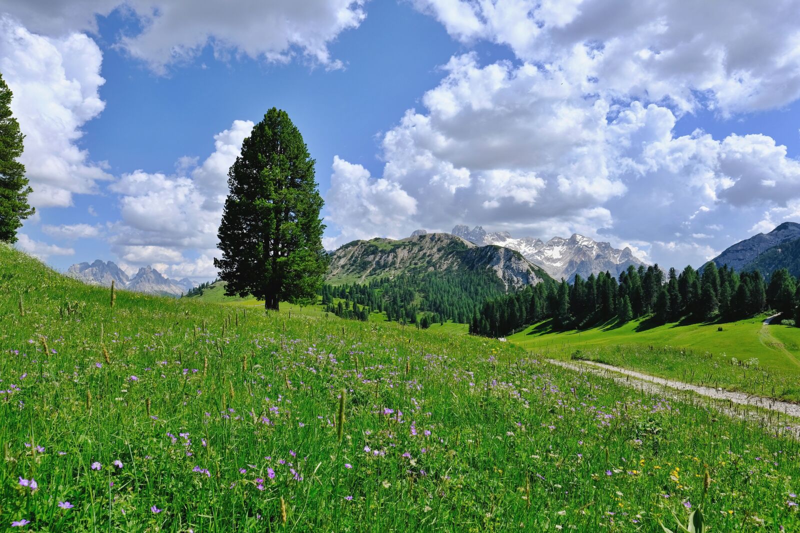 Fujifilm X-T20 + Fujifilm XF 16mm F1.4 R WR sample photo. Nature, landscape, mountains photography