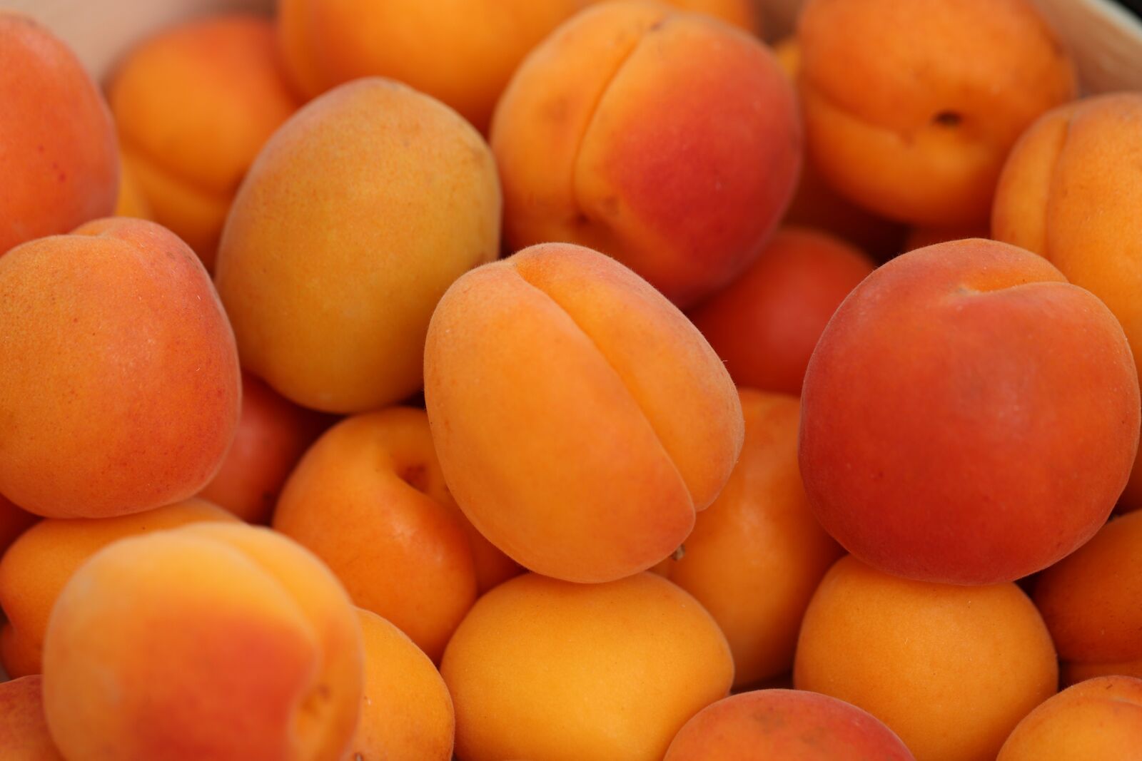 Canon EOS 77D (EOS 9000D / EOS 770D) sample photo. Apricots, fresh, nutrition photography