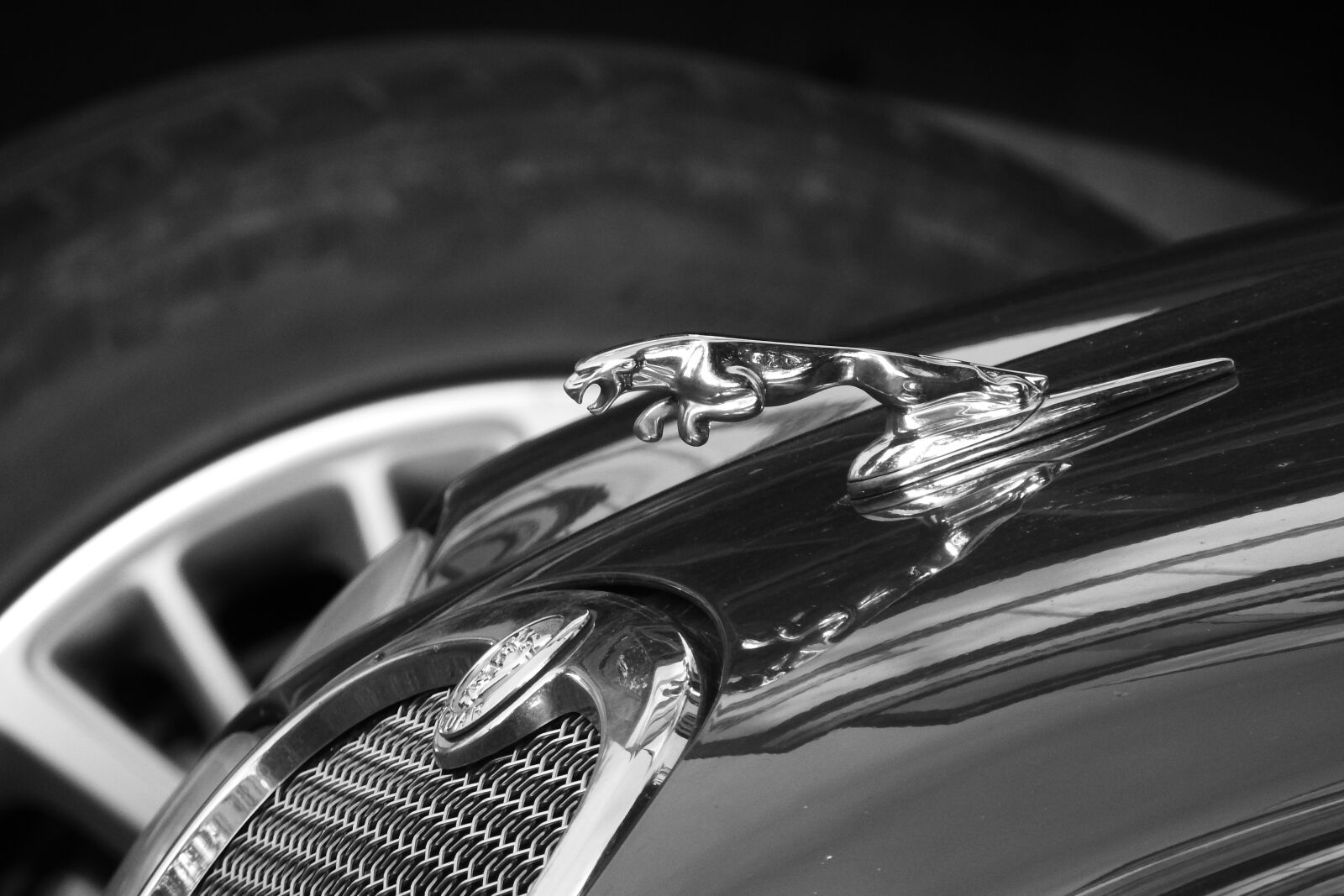 Nikon Coolpix P610 sample photo. Jaguar, expensive car, car photography