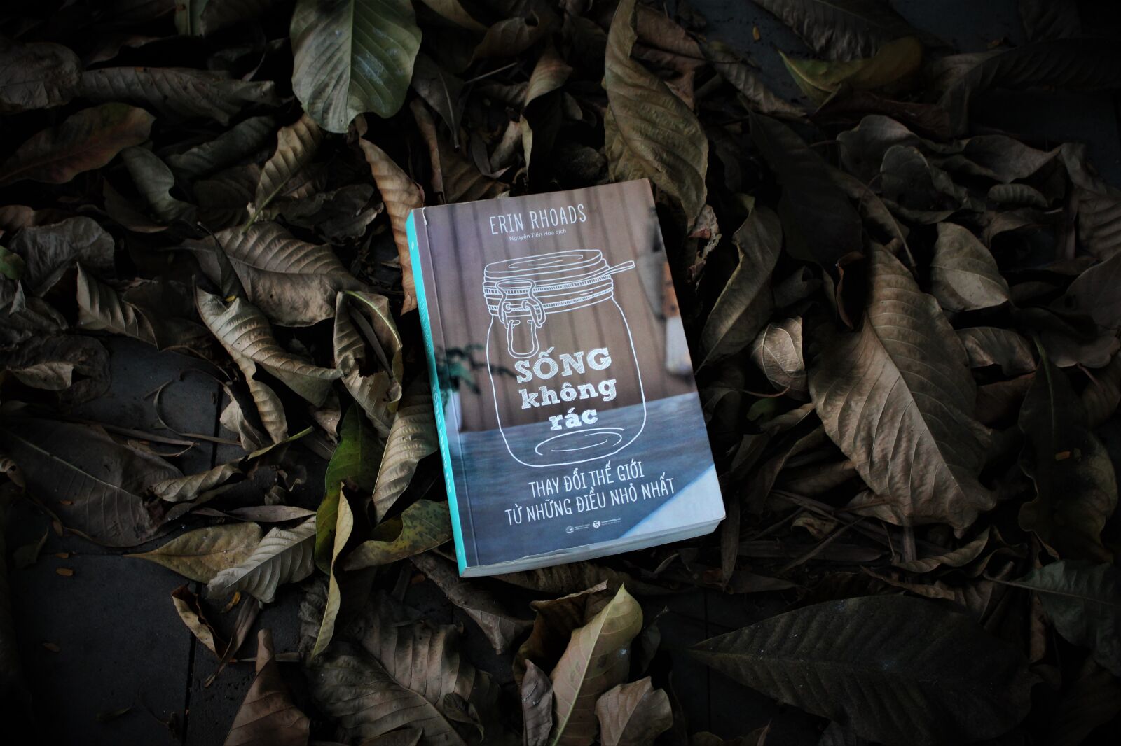 Canon EOS 700D (EOS Rebel T5i / EOS Kiss X7i) sample photo. Book, leaf, leaves photography