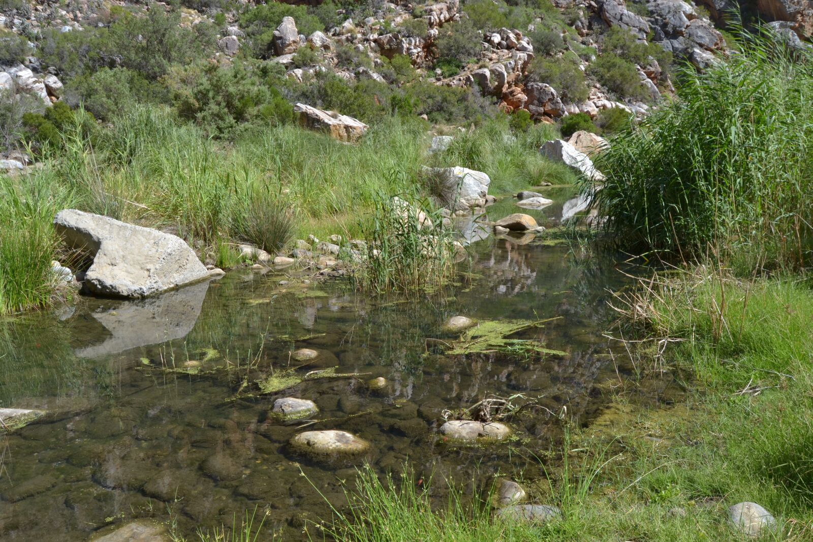 Nikon D3100 sample photo. Over, the, river photography