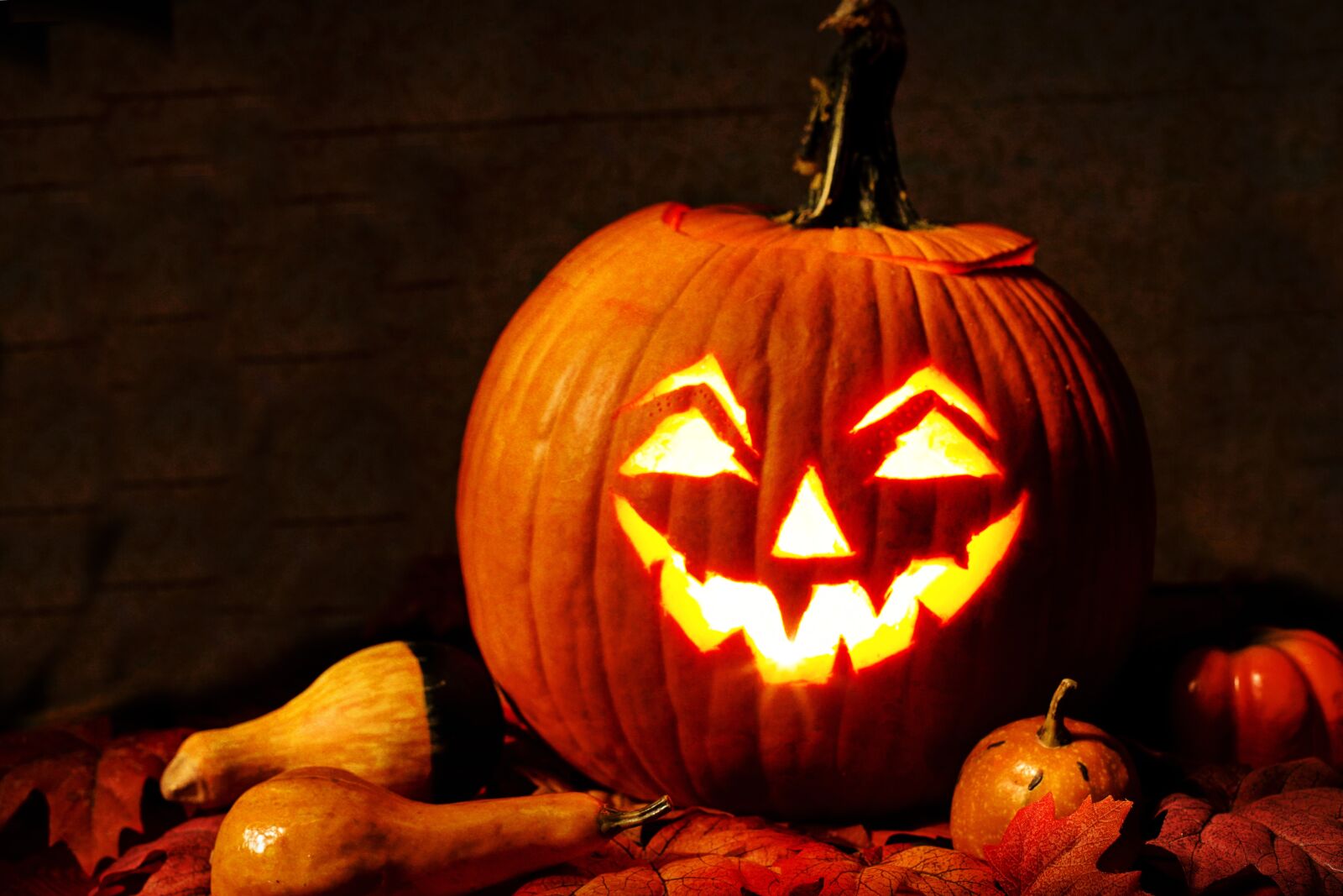 Canon EF 50mm F1.4 USM sample photo. Jack-o-lantern, lit, pumpkin photography